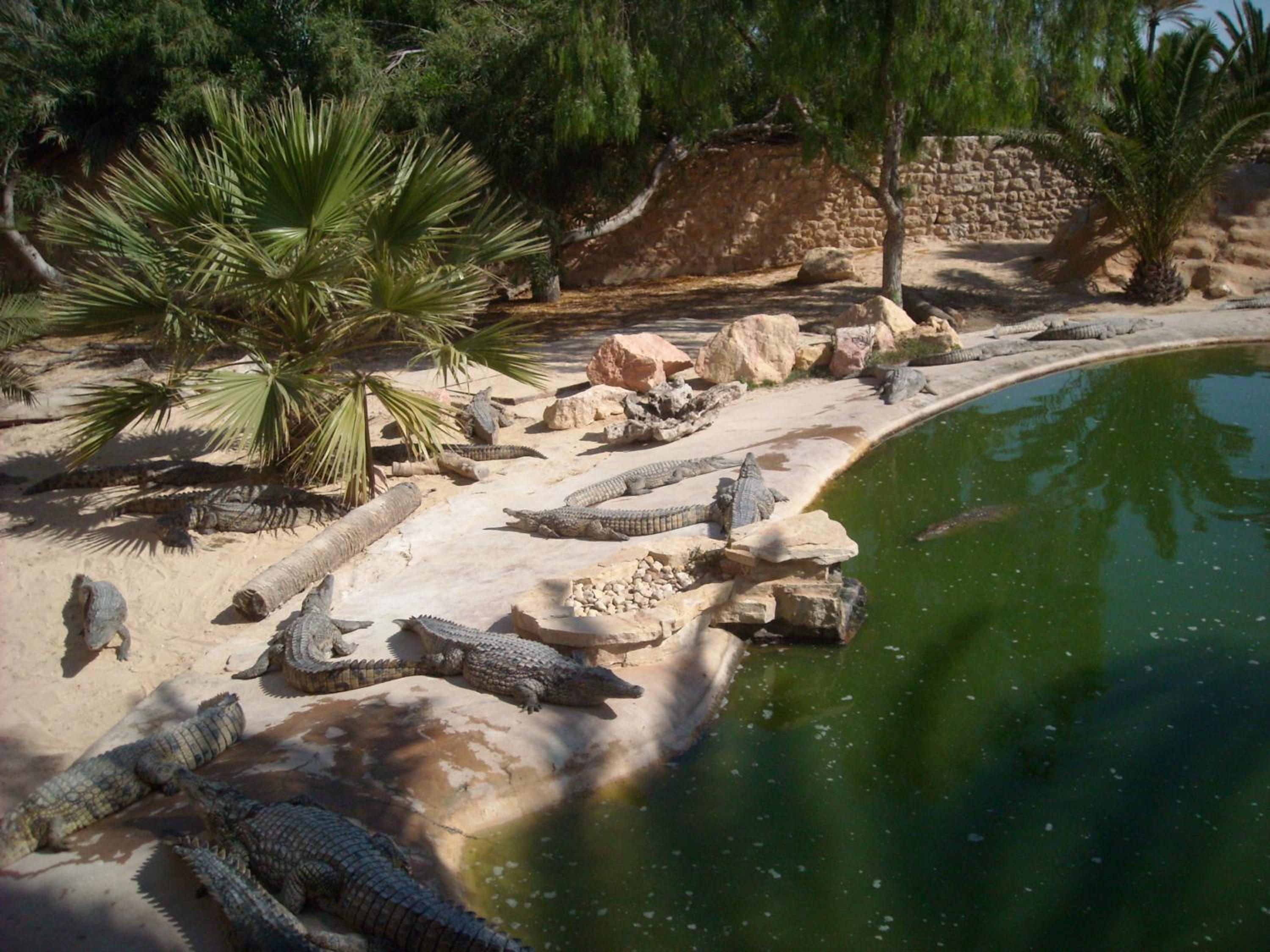 Photo 47