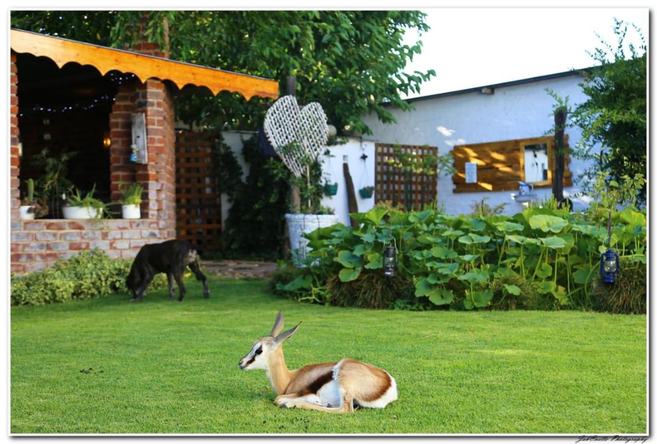 Tortelduif Cottage OfftheGrid view 4