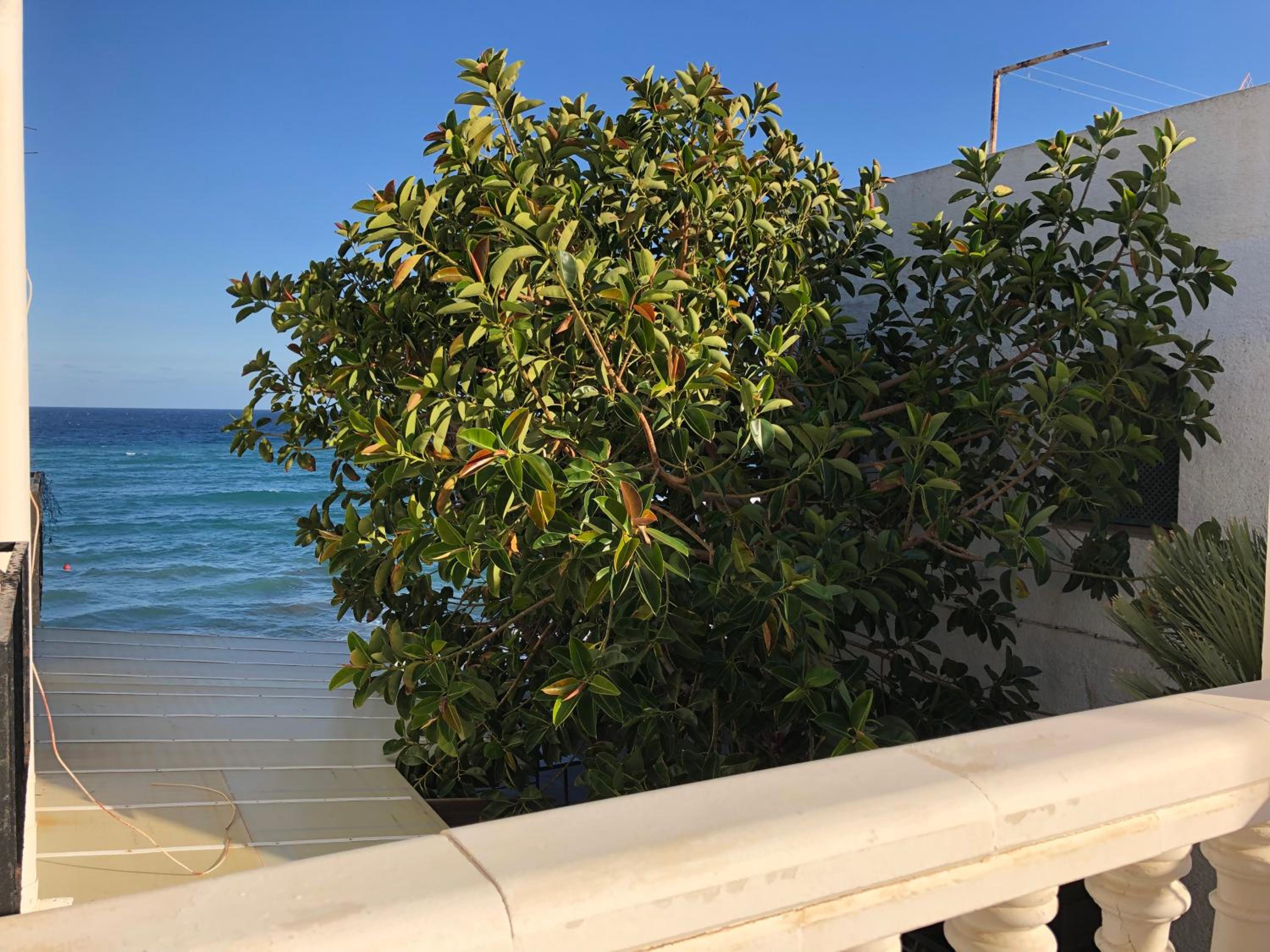 EL DUENDE view 5
