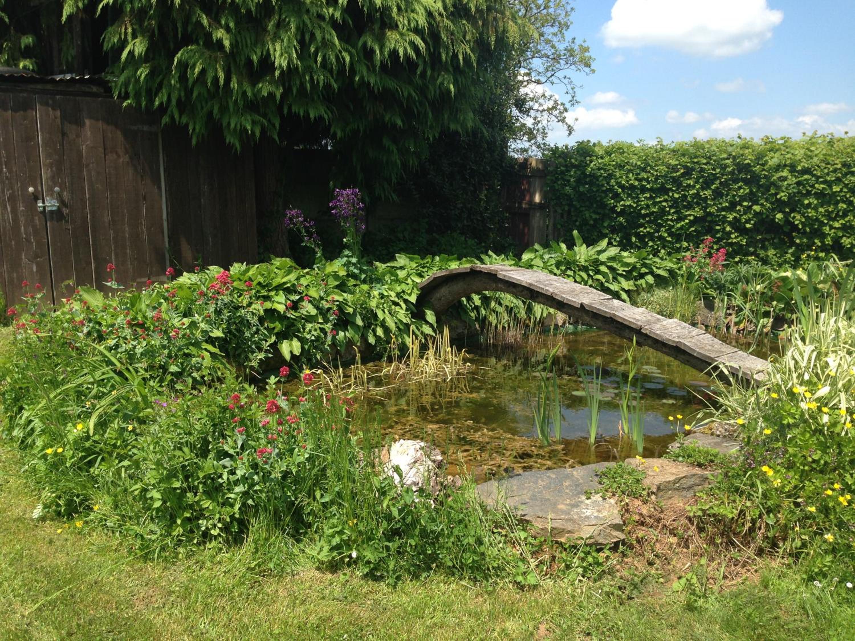 Photo 18