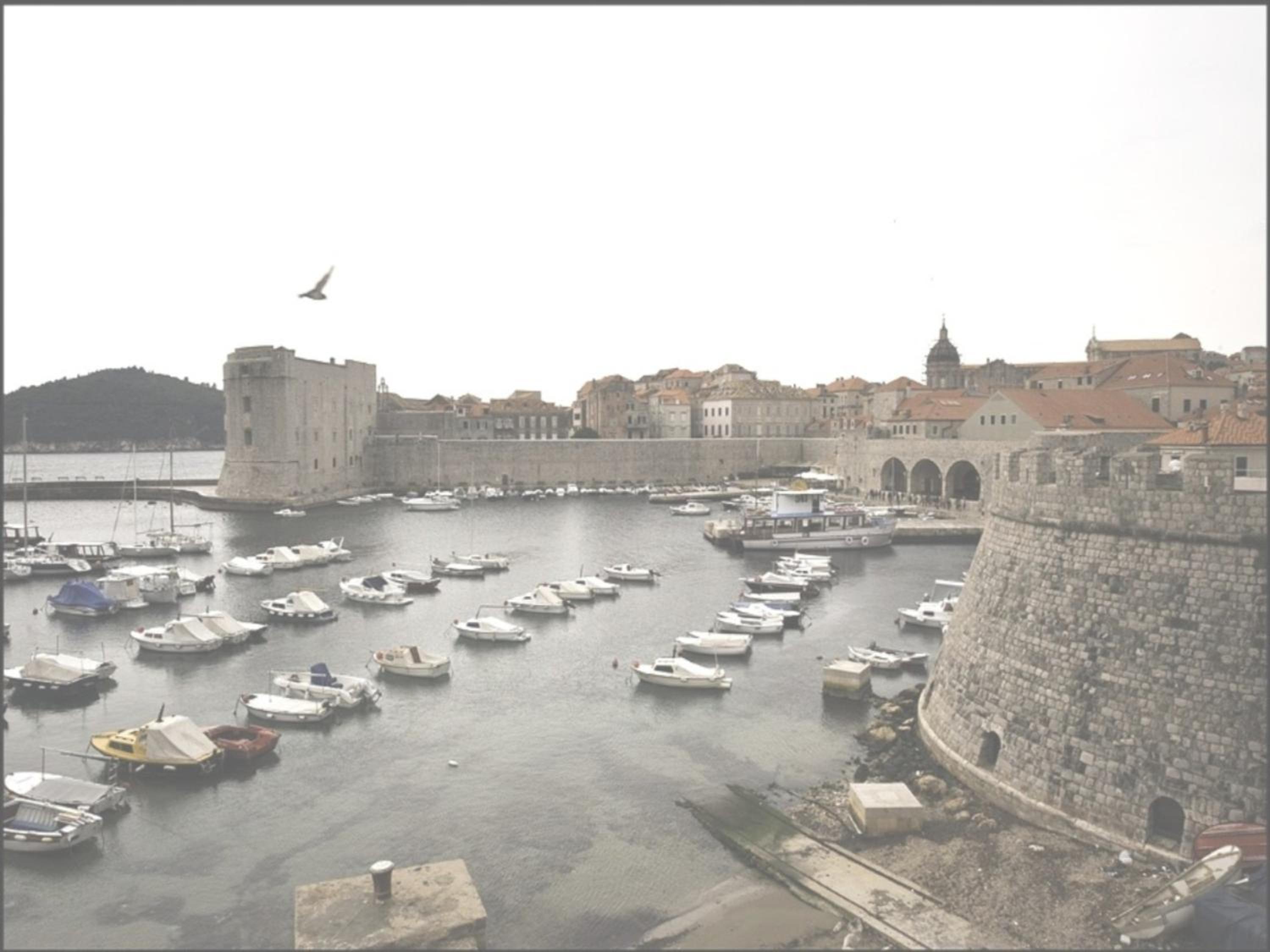Dubrovnik Sea View Apartment