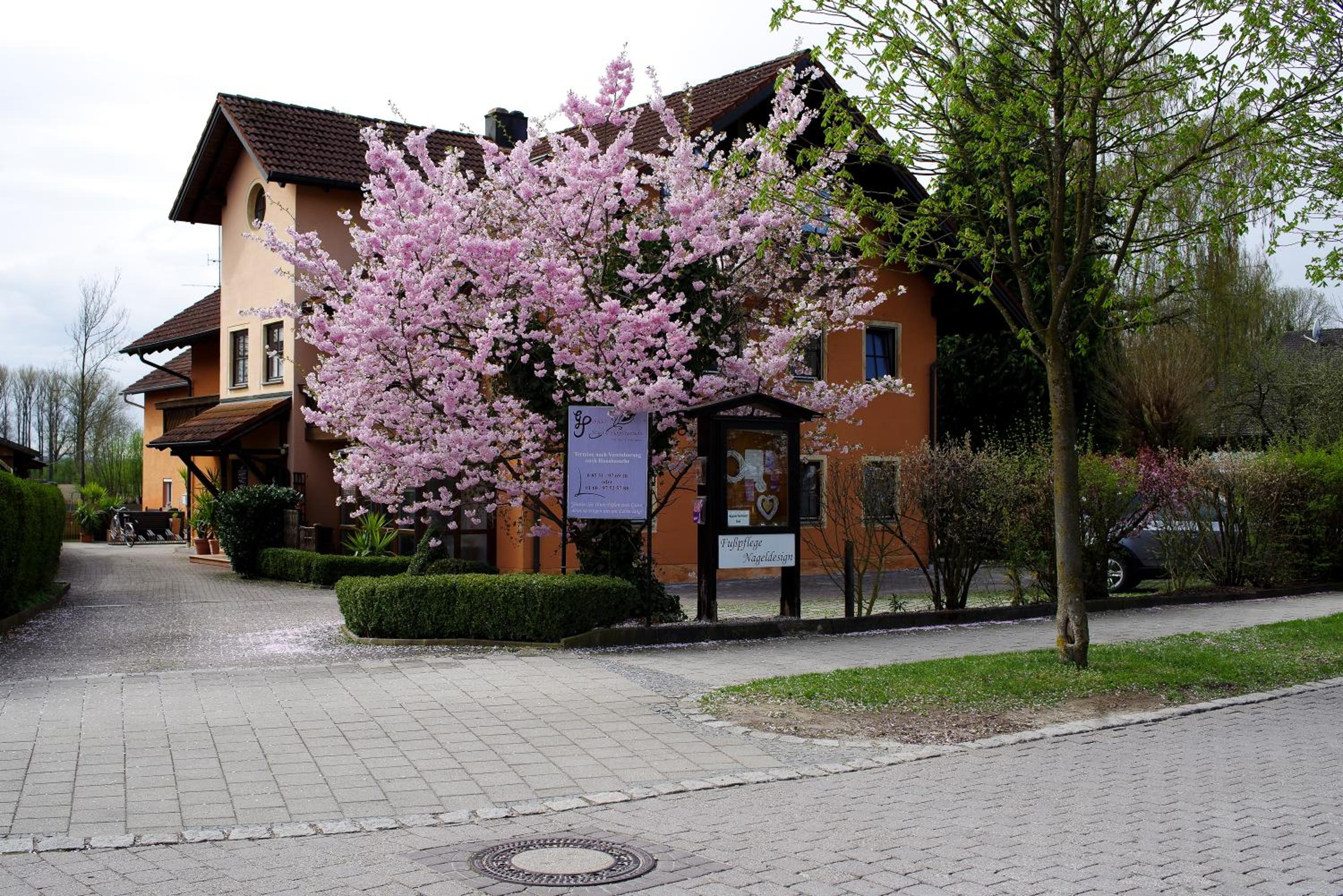 Photo 13
