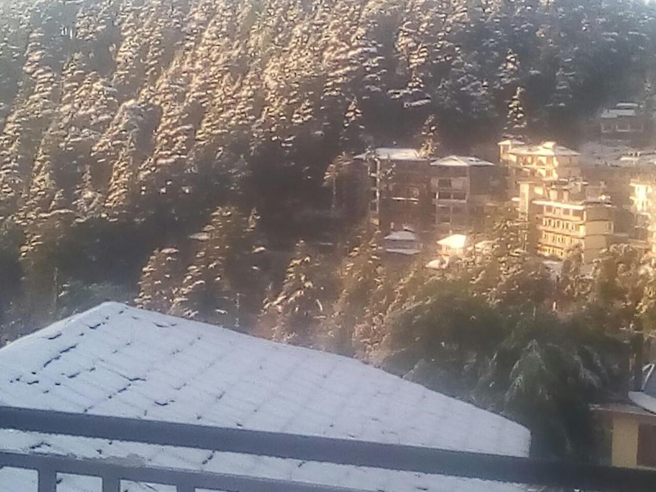 Mountain and Moon, Dharamkot