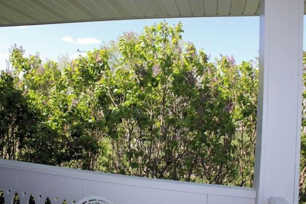 Belle Aire Mansion Guest House view 4