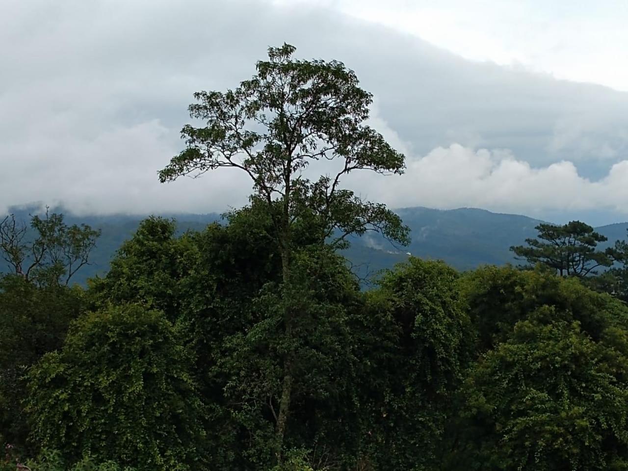 Chalé Serra Cantareira