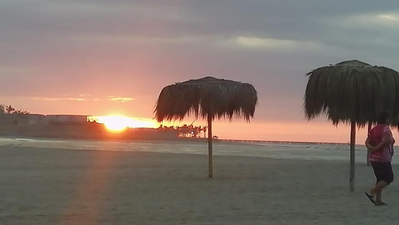 Las palmeras de bocapan