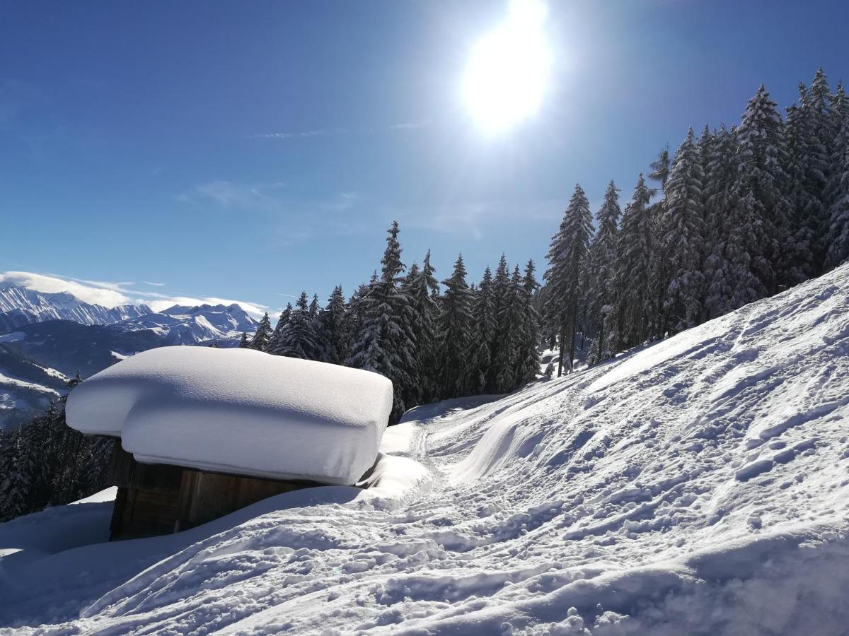 Apart Gerlossteinblick