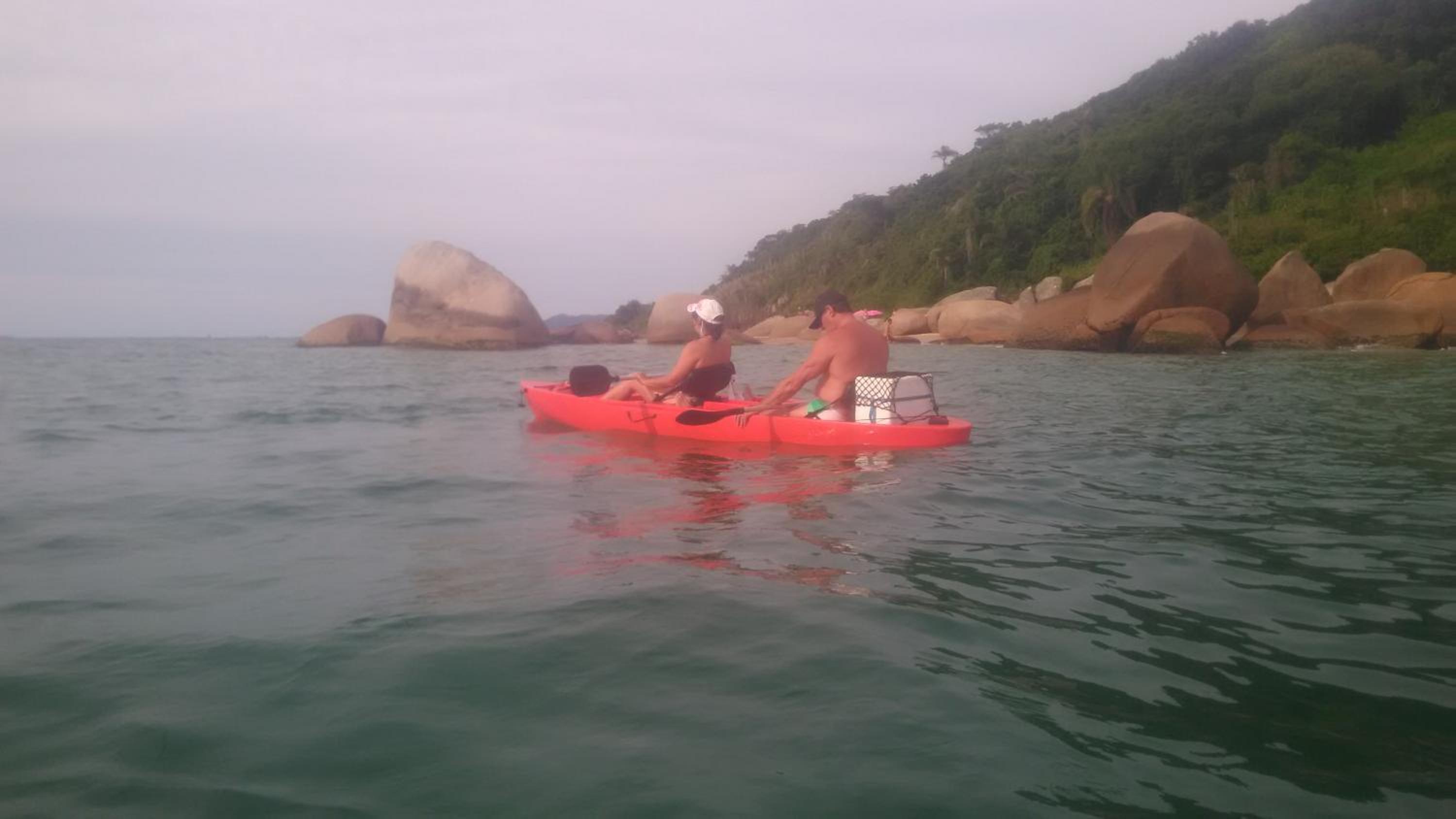 Tartaruga Azul