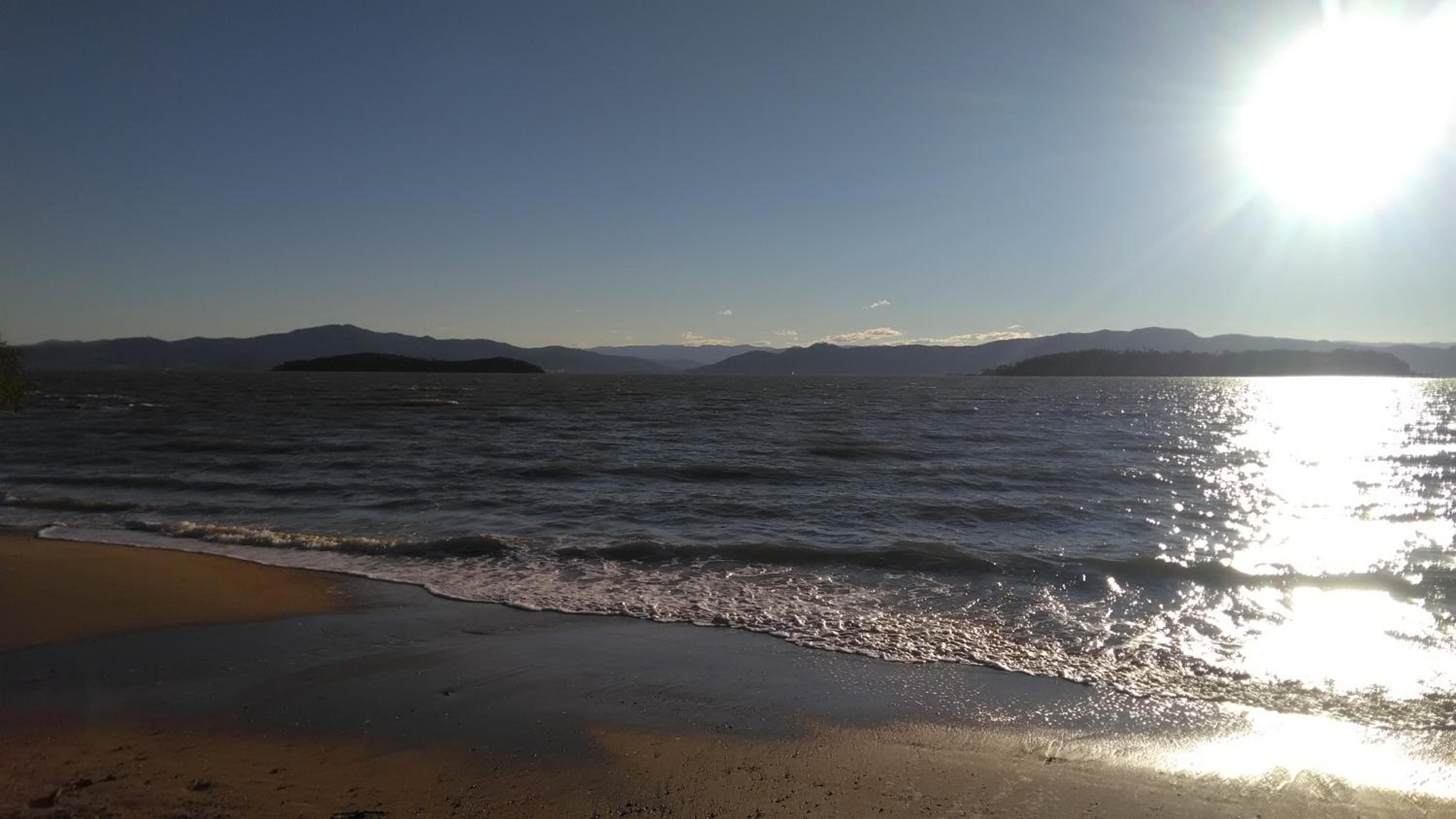 Tartaruga Azul