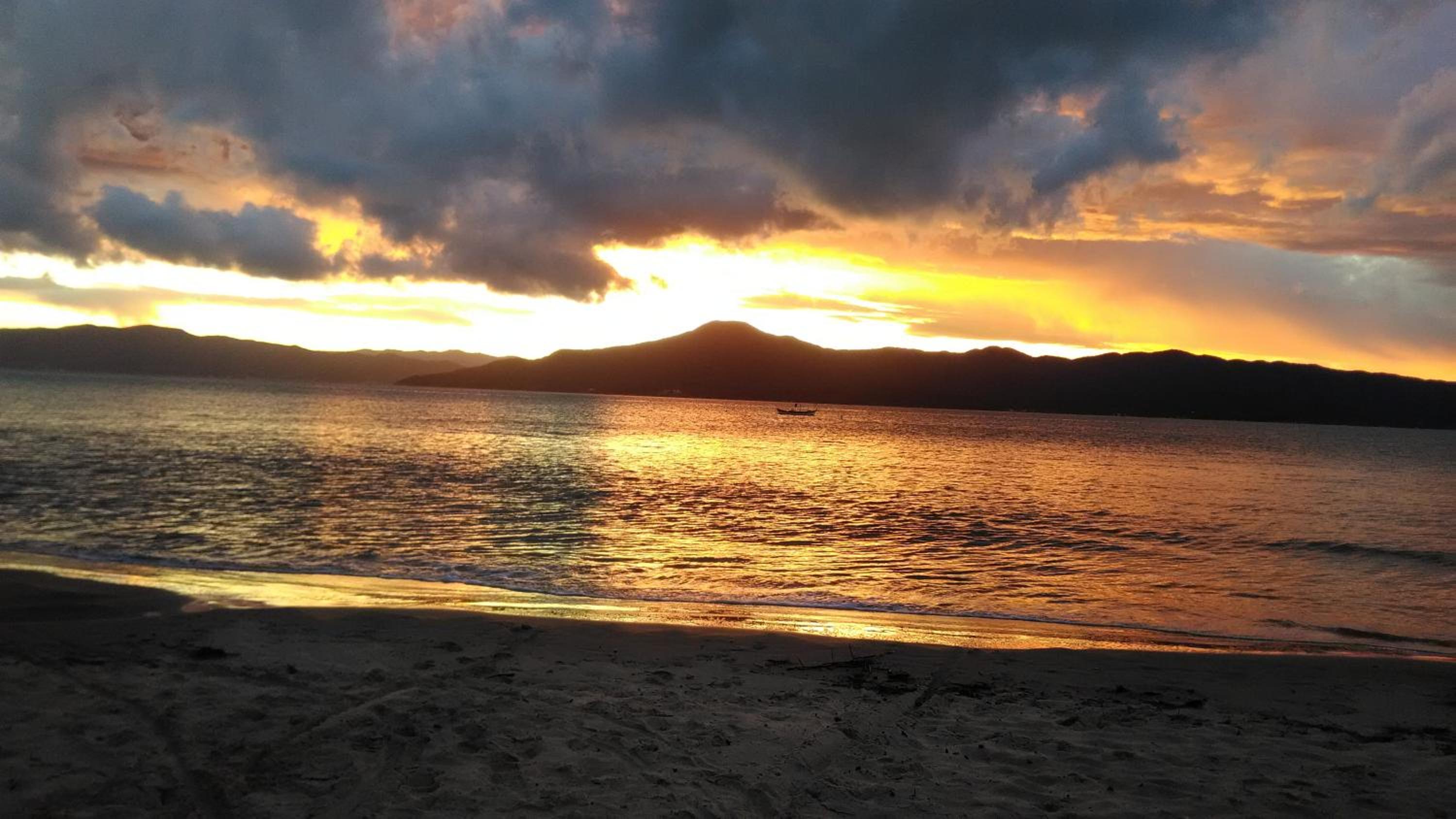 Tartaruga Azul