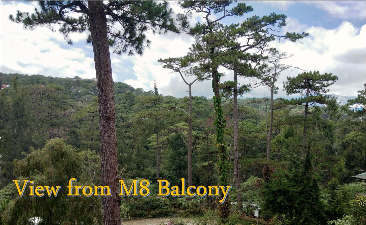 Log Cabin Hotel - Baguio