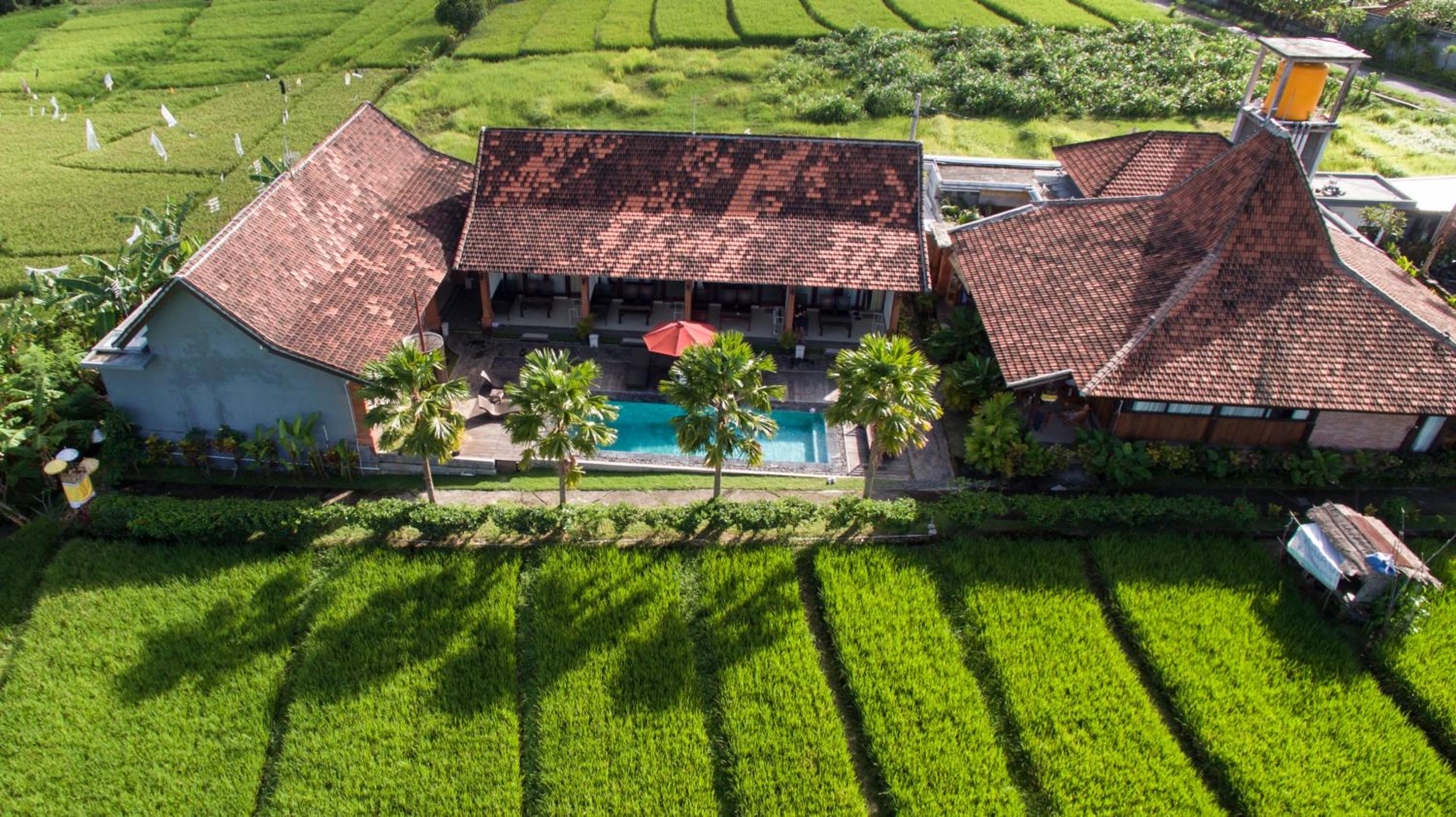 Kampung Canggu view 2