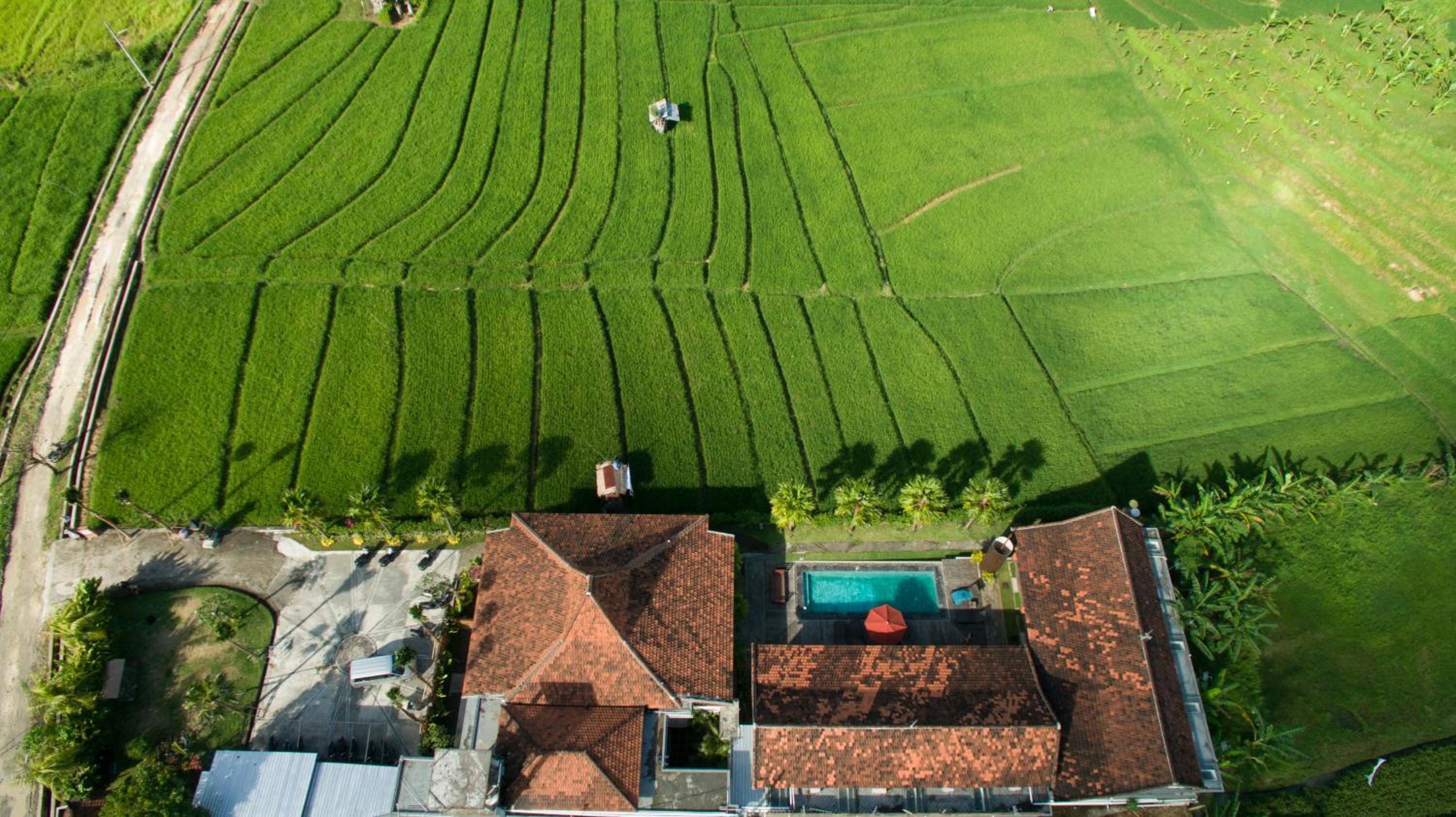 Kampung Canggu view 3