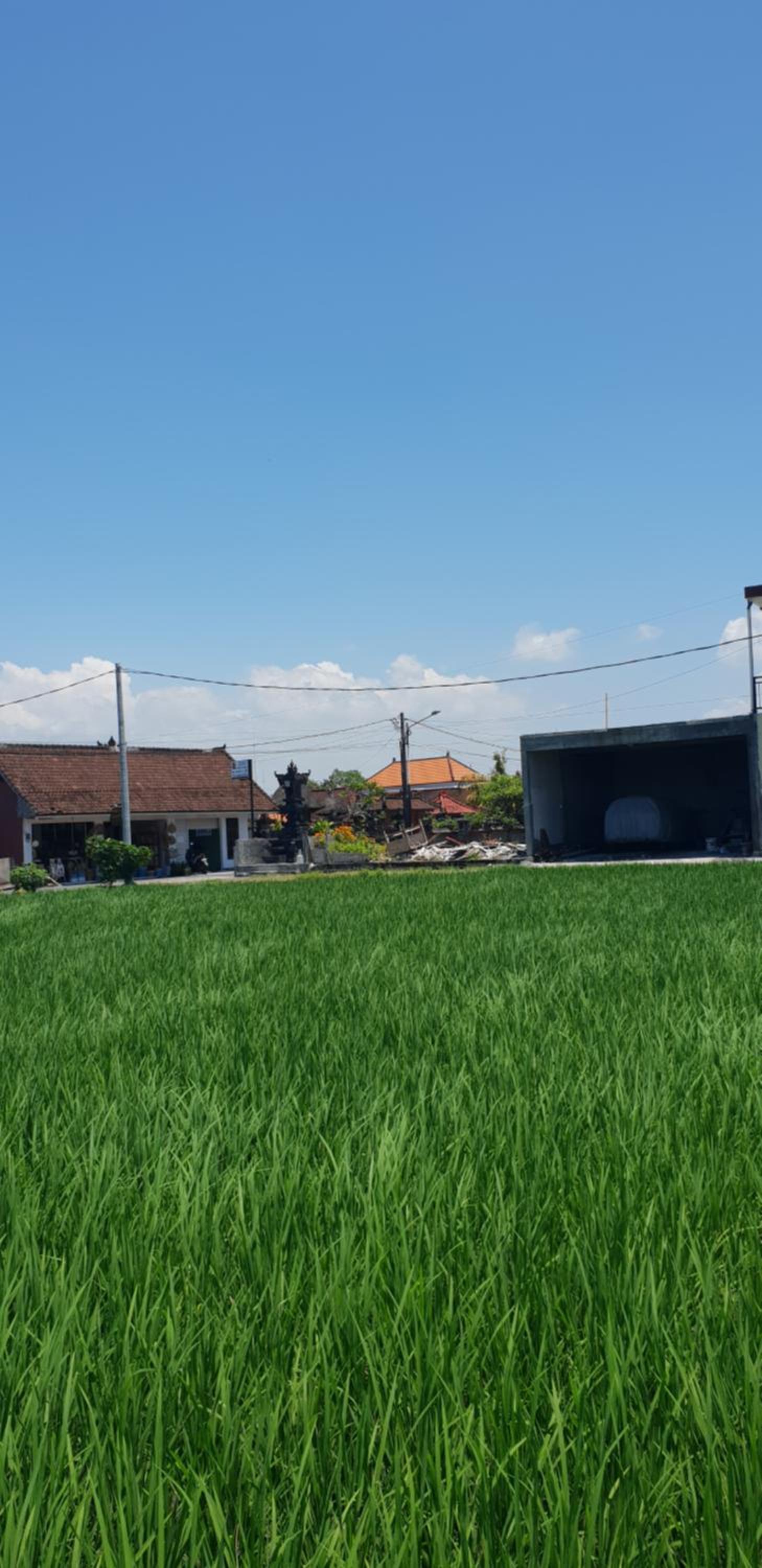 Sun Homestay Canggu