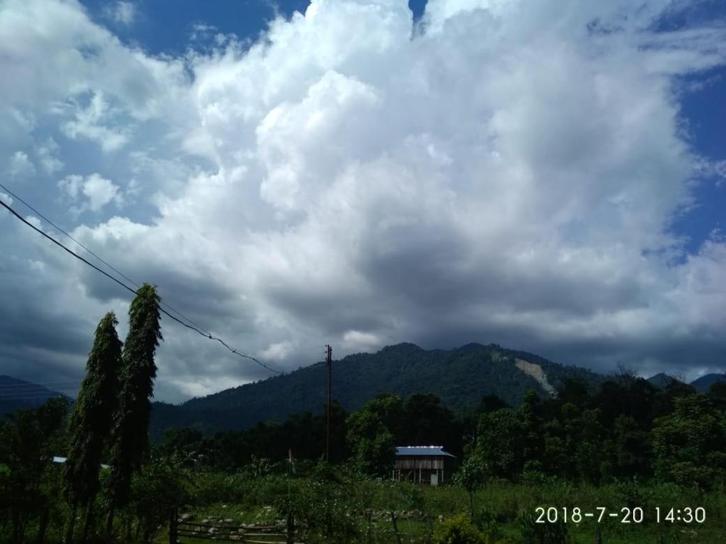 Aranya Mahal - Raimatang view 2