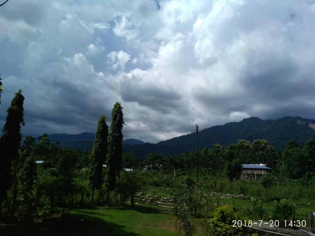 Aranya Mahal - Raimatang view 5