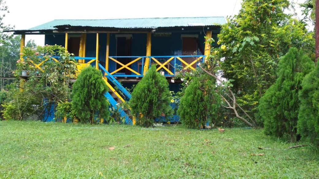 Photo 12