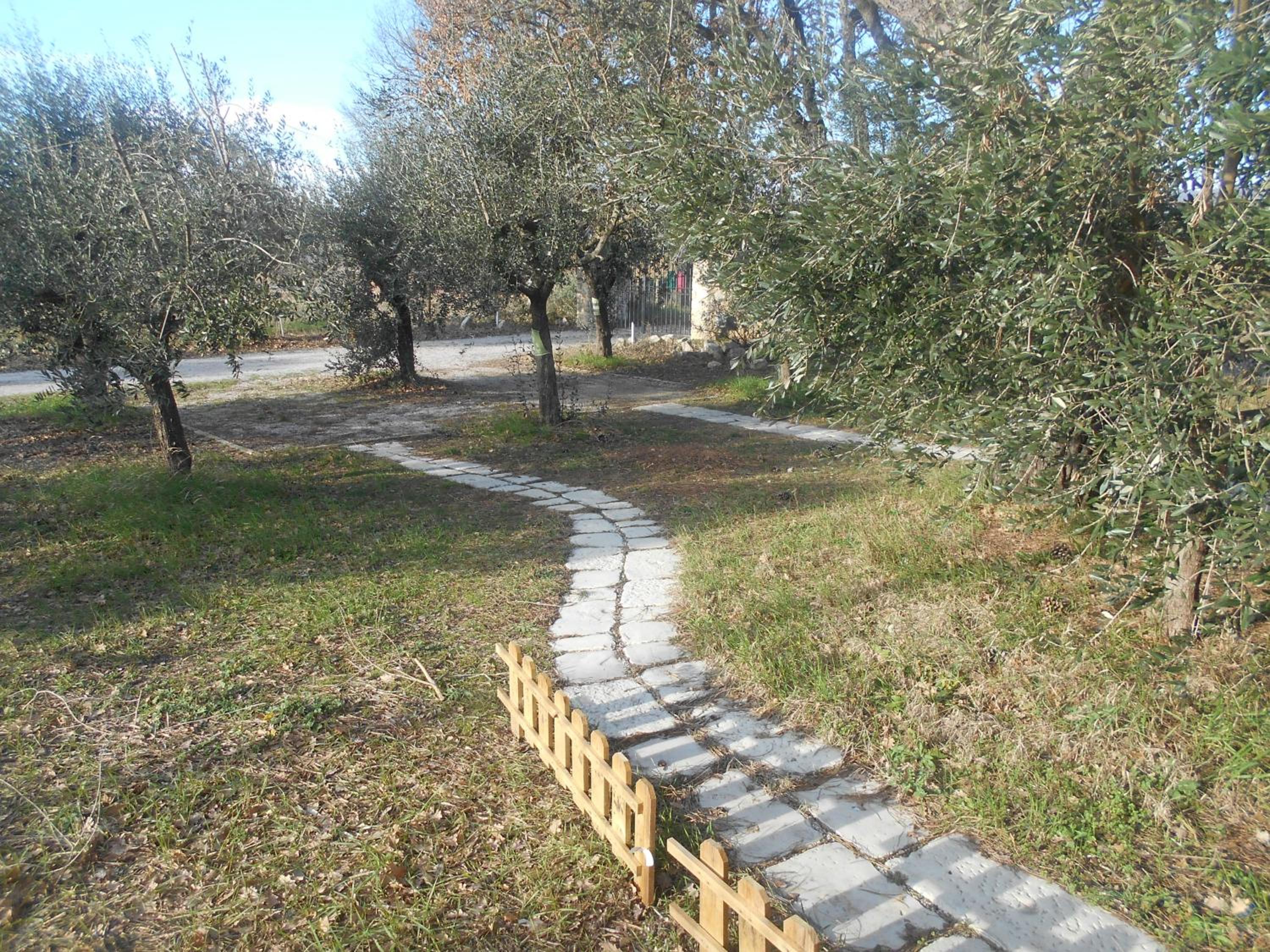 Photo 39