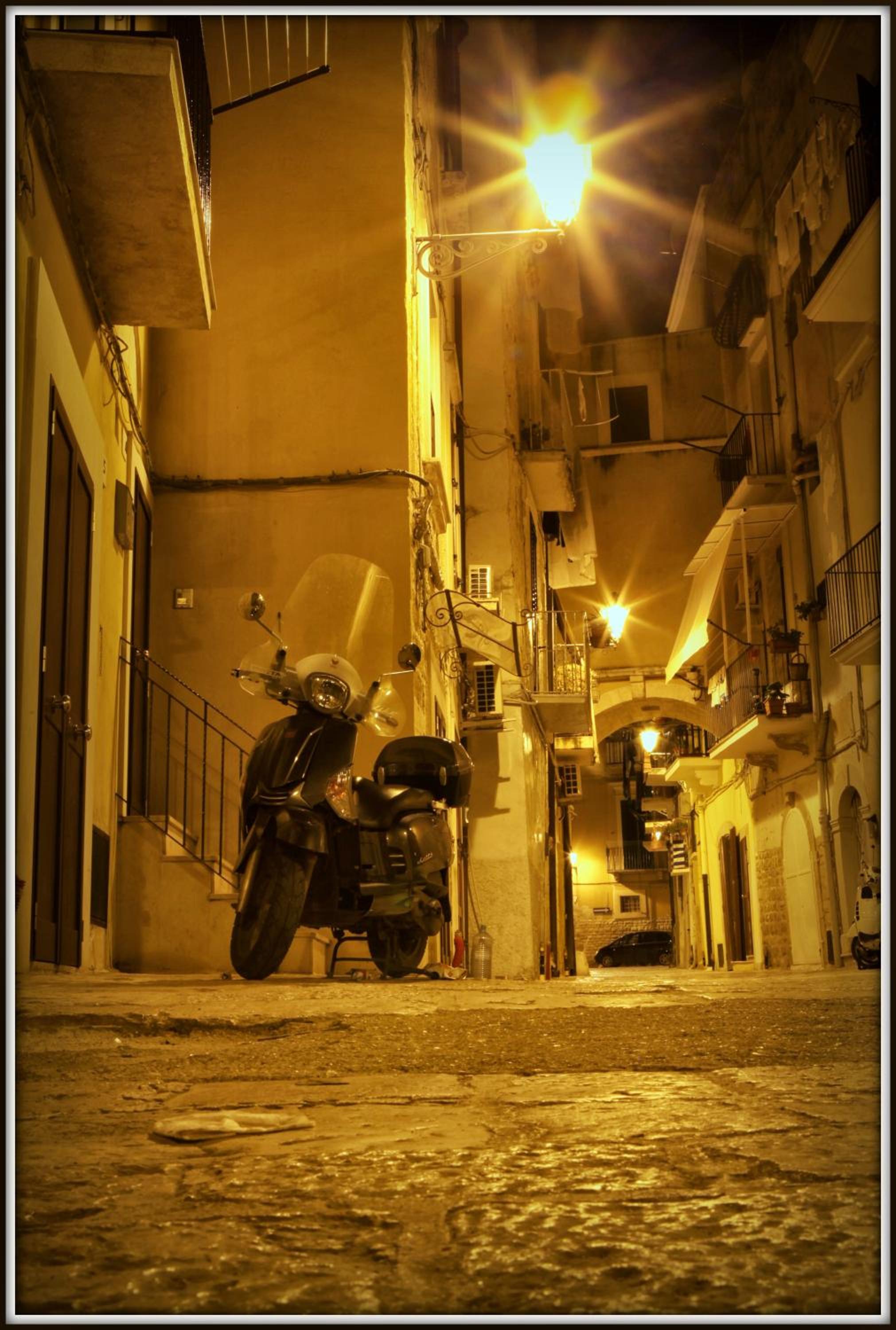 Photo 41