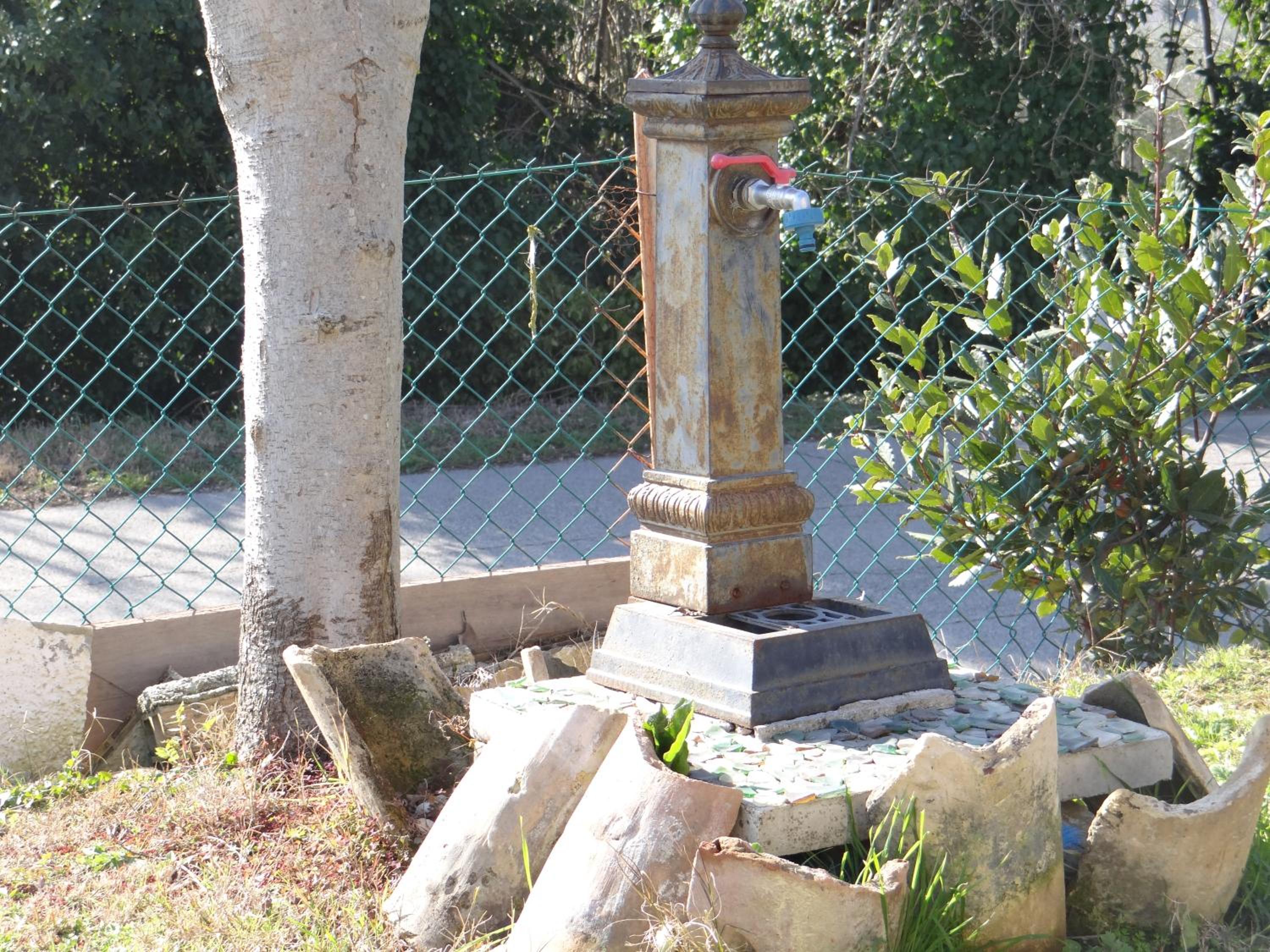 Photo 22