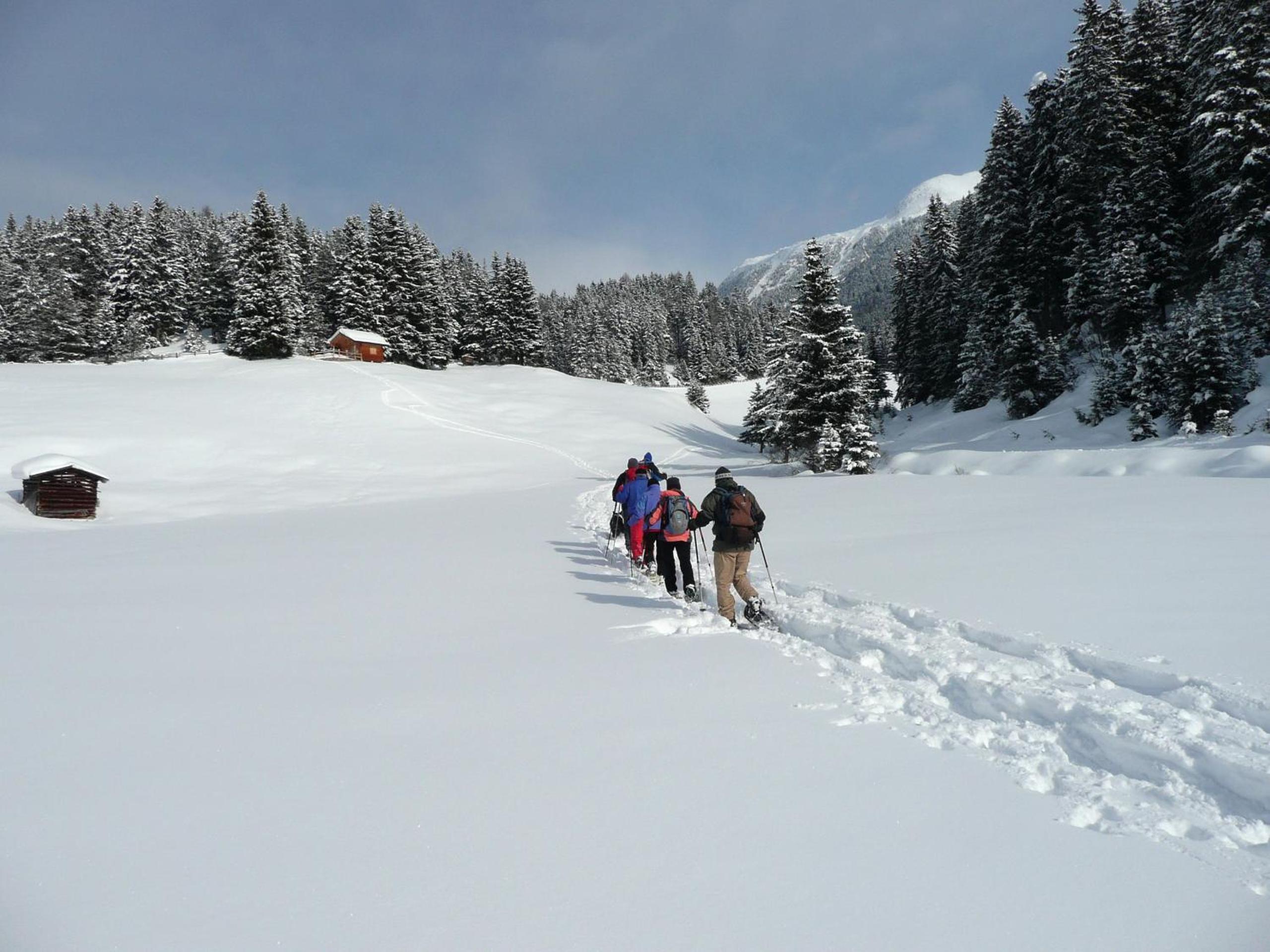 Photo 11