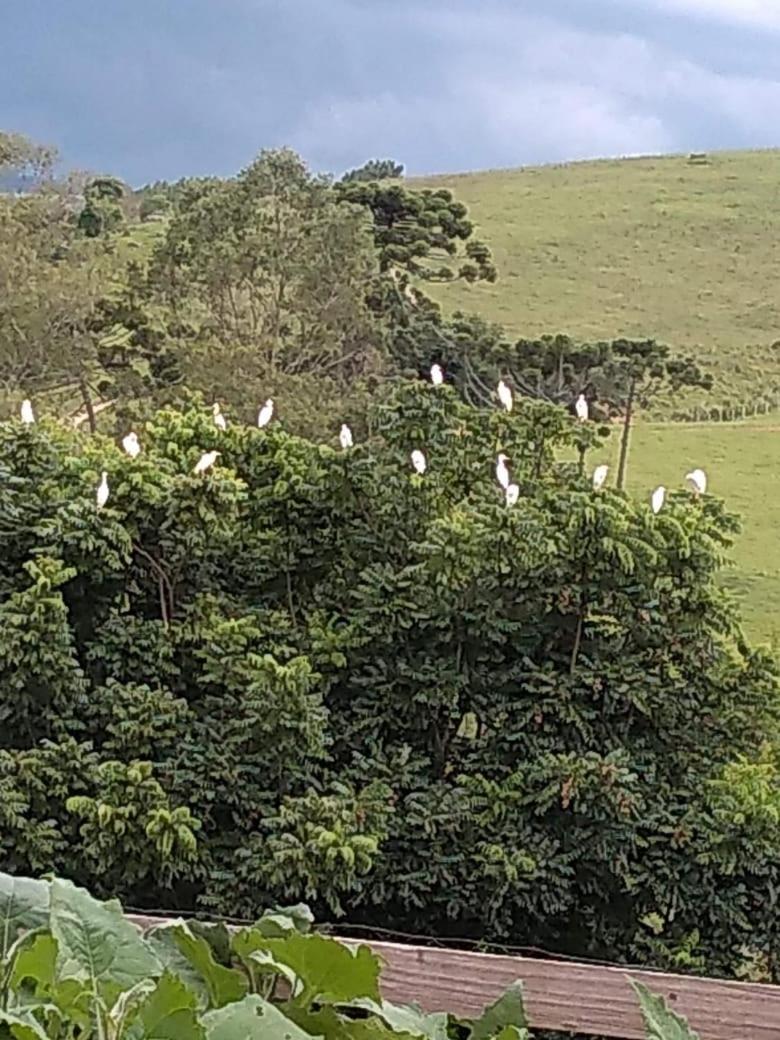 Pousada e Camping Pé na Trilha view 4