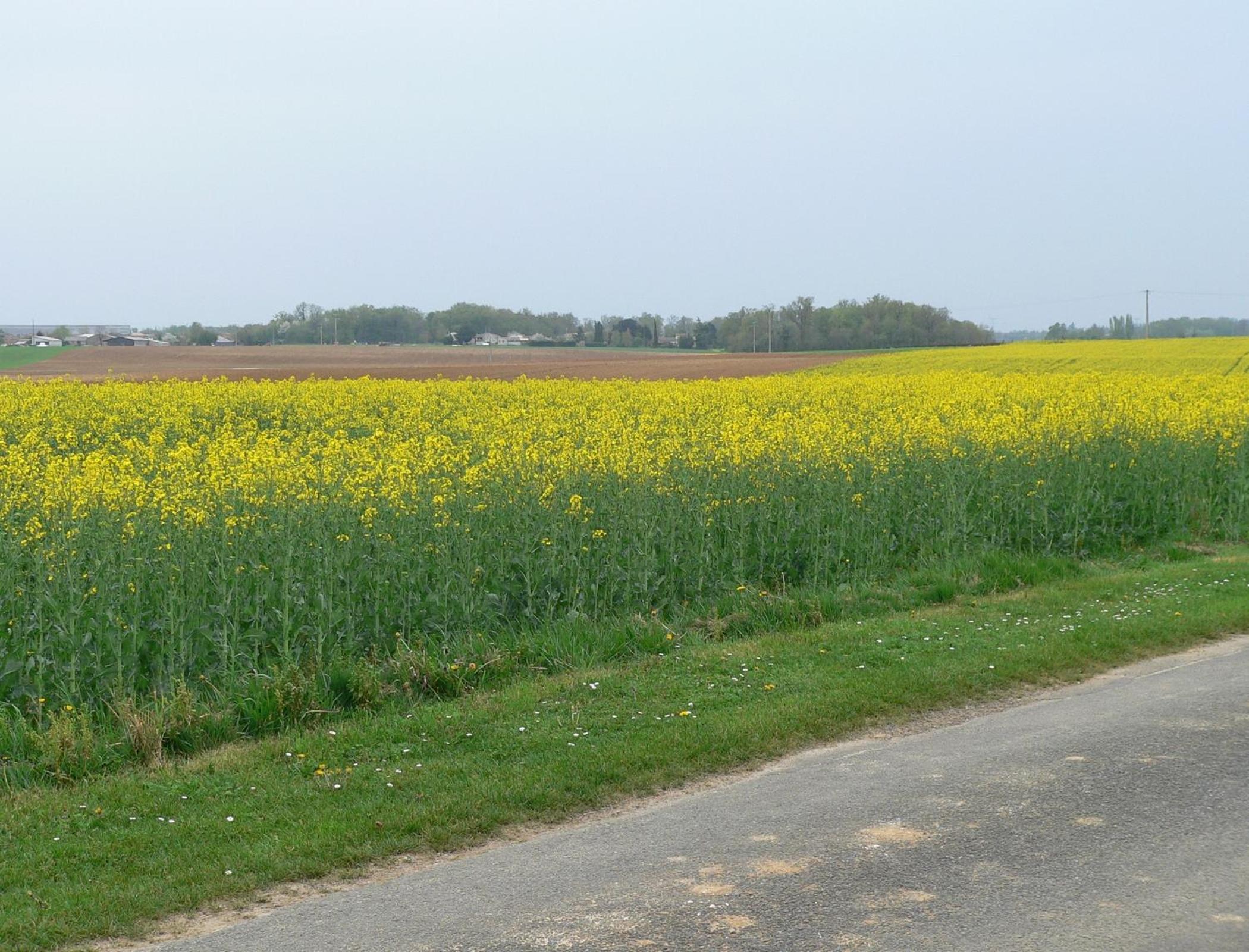 Photo 66