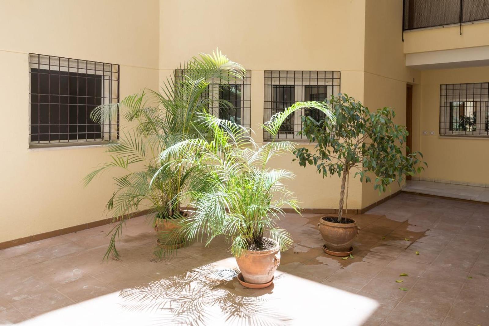 Malaga Paradise (Historic centre)