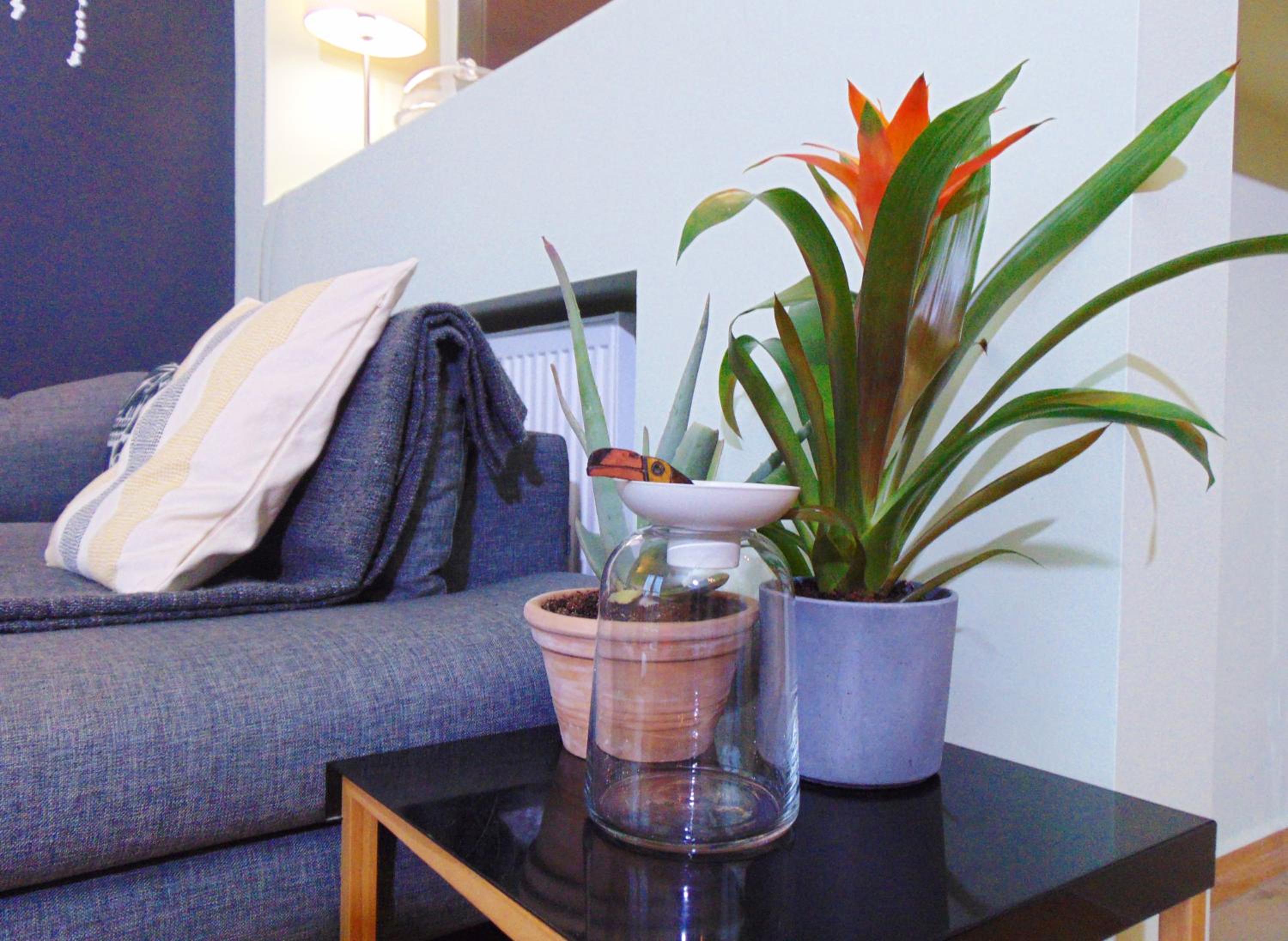 Thissio View Design Apartment