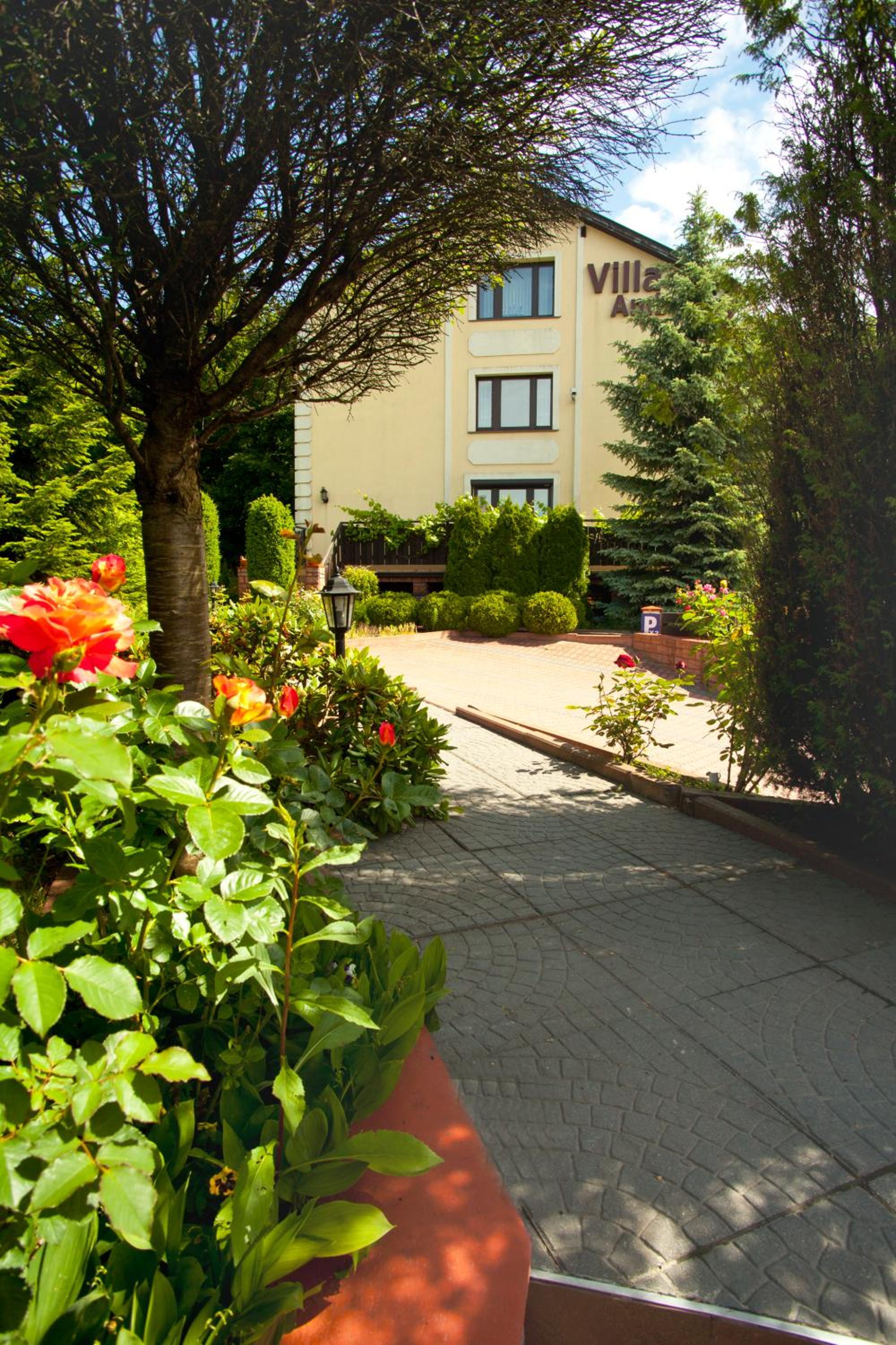 Photo 44