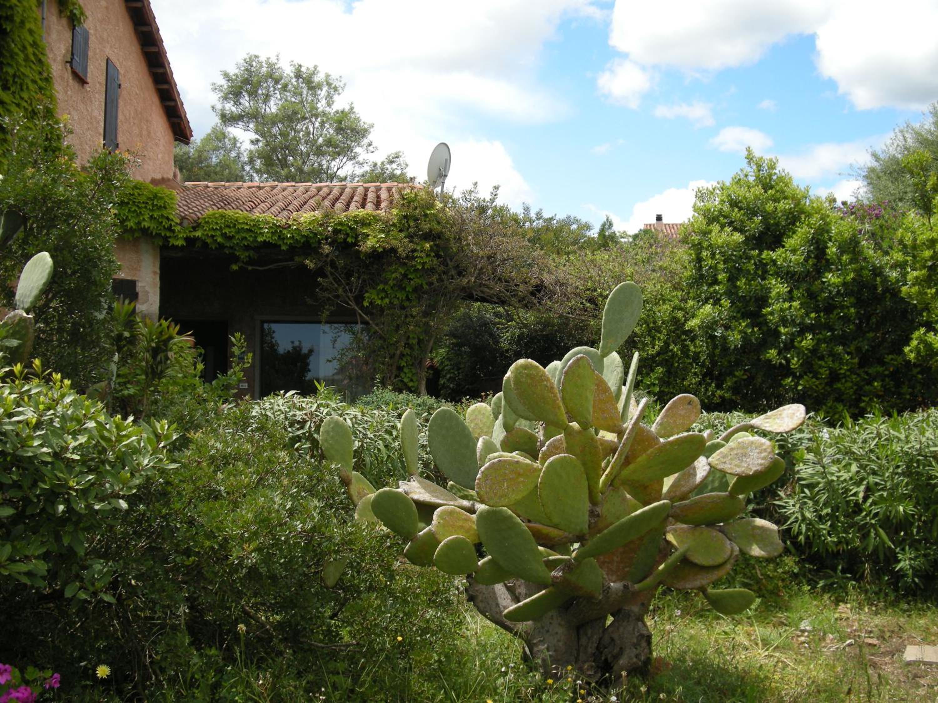 Photo 17