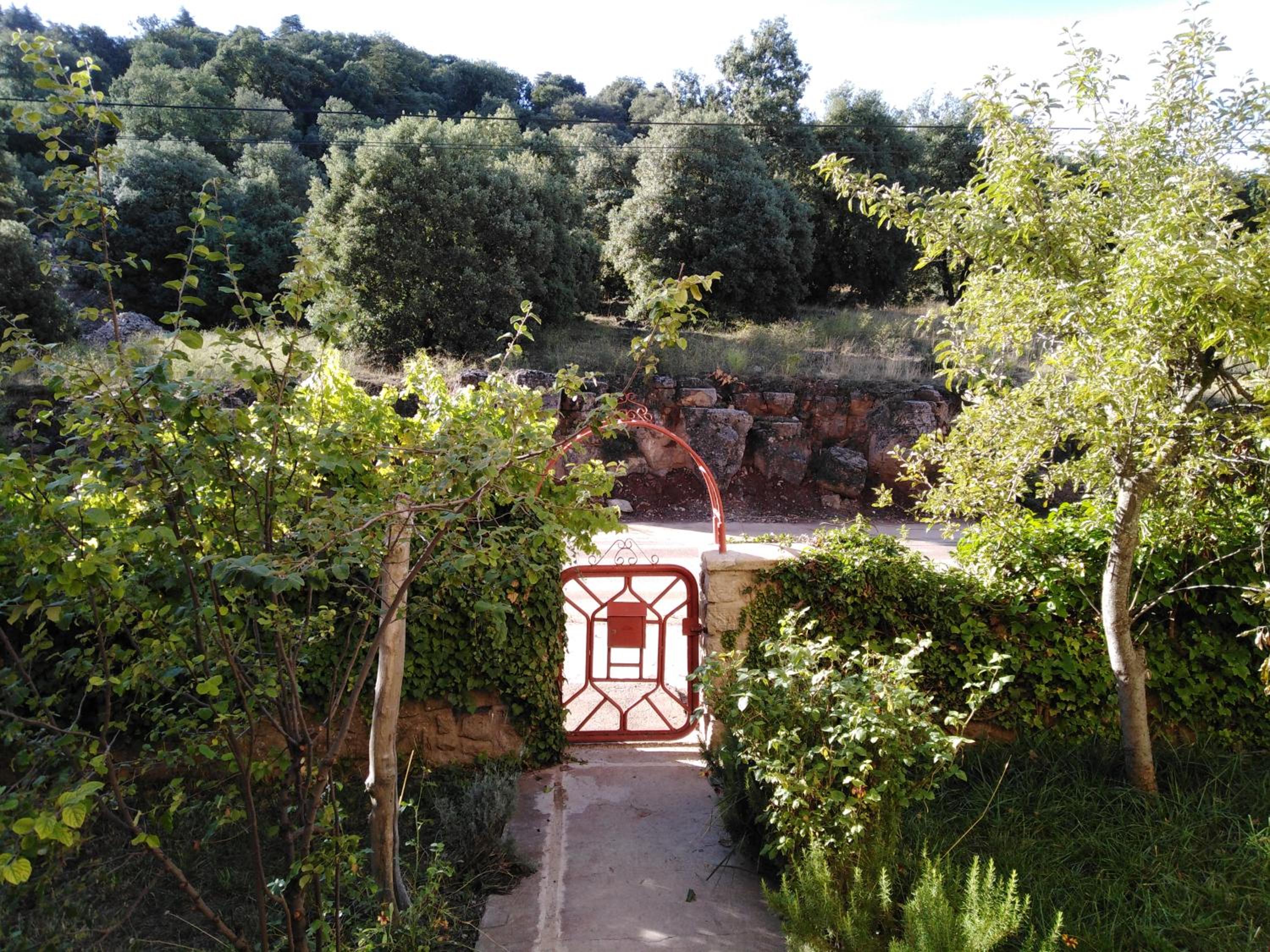 Photo 10
