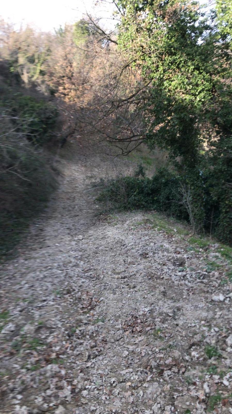 Photo 36