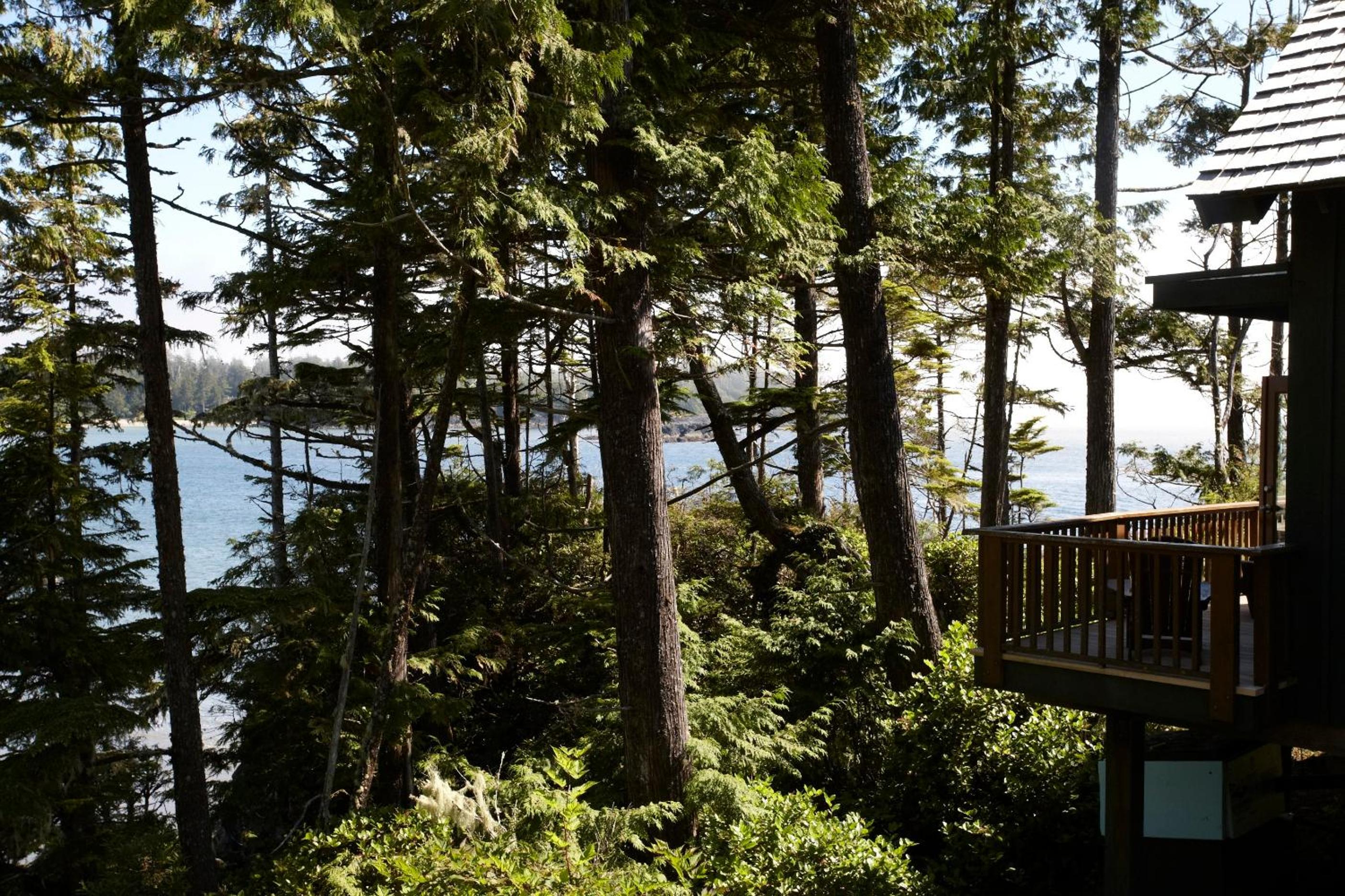 Tofino Vacations - Middle Beach Lodge - Property Image 51