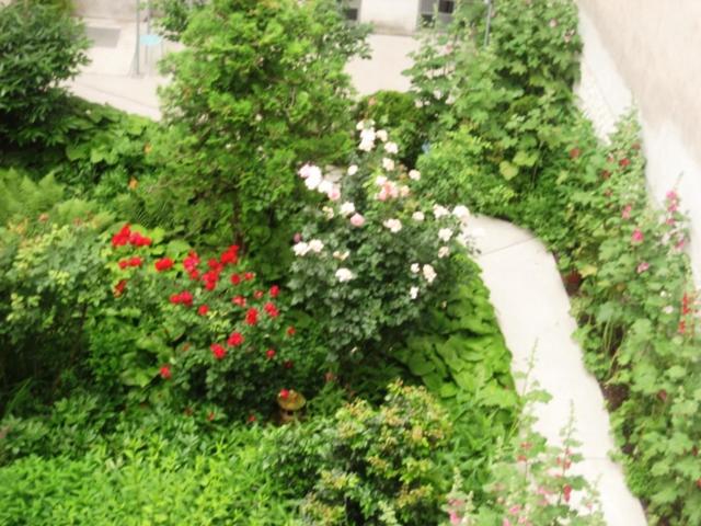 Freundliches Apartment mit Innenhof-Garten