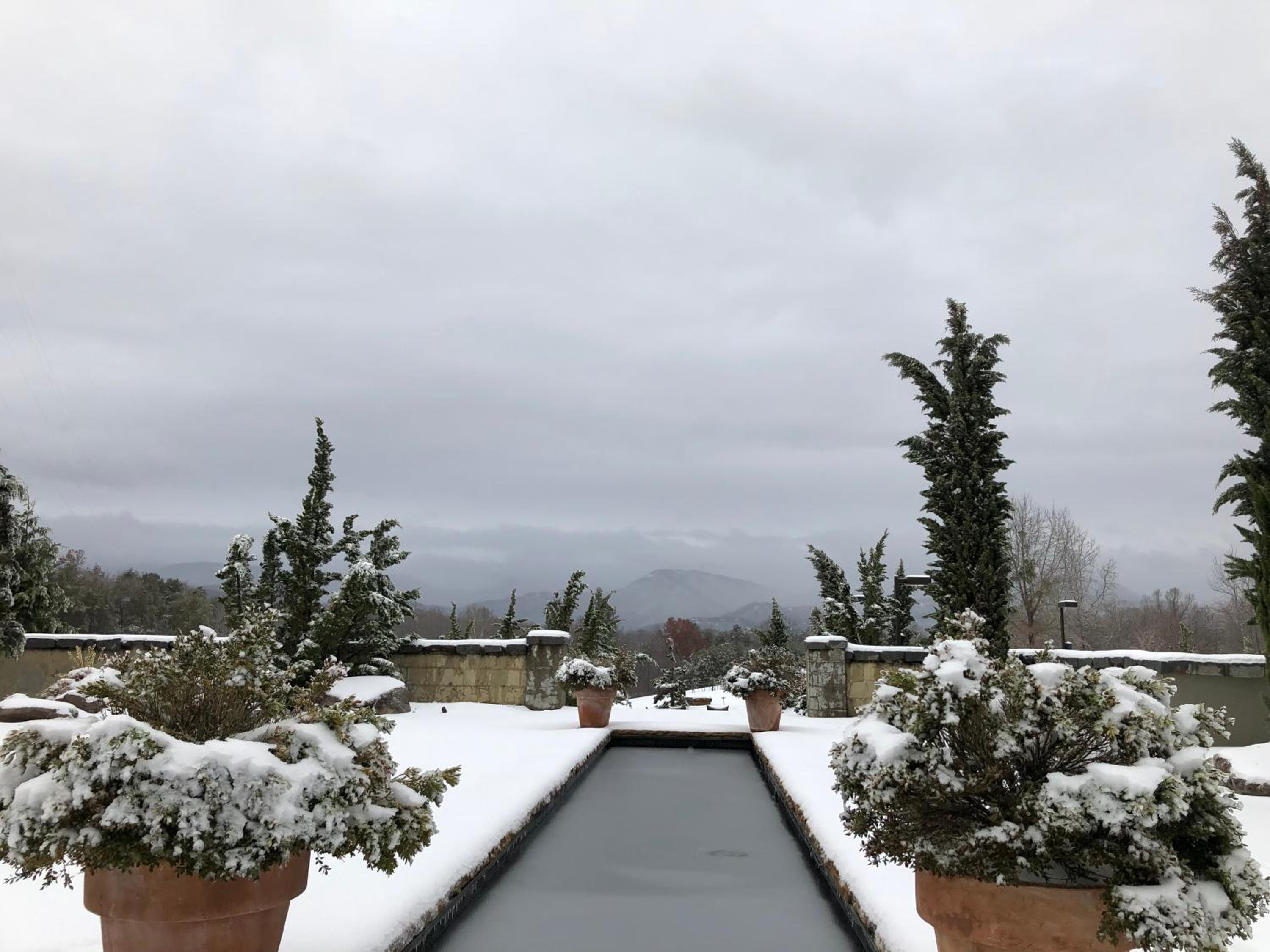 Hotel Domestique