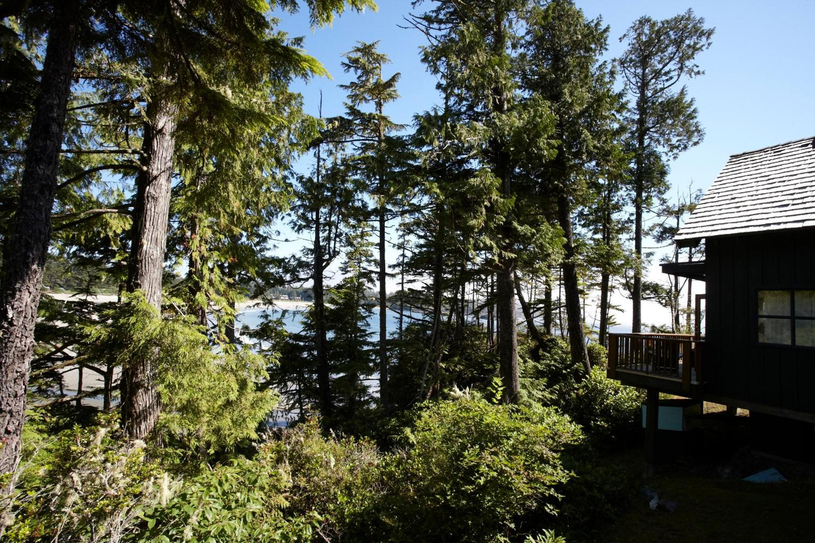 Tofino Vacations - Middle Beach Lodge - Property Image 17