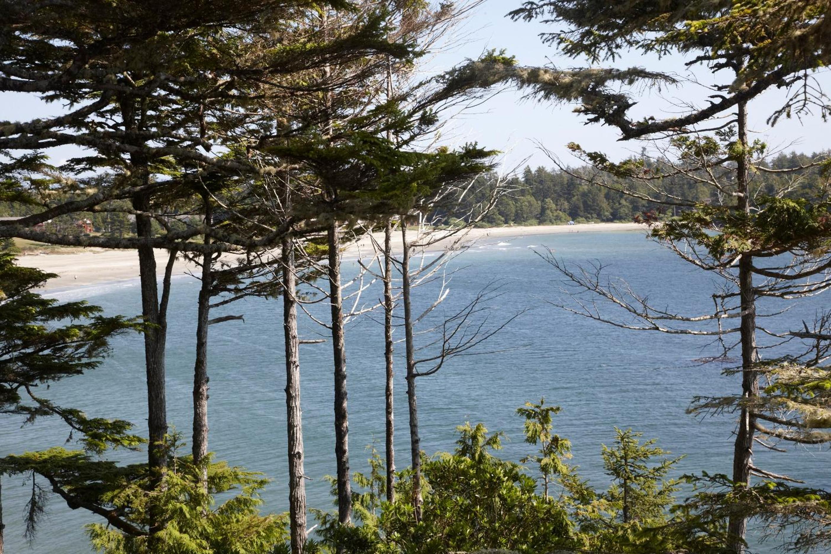 Tofino Vacations - Middle Beach Lodge - Property Image 22