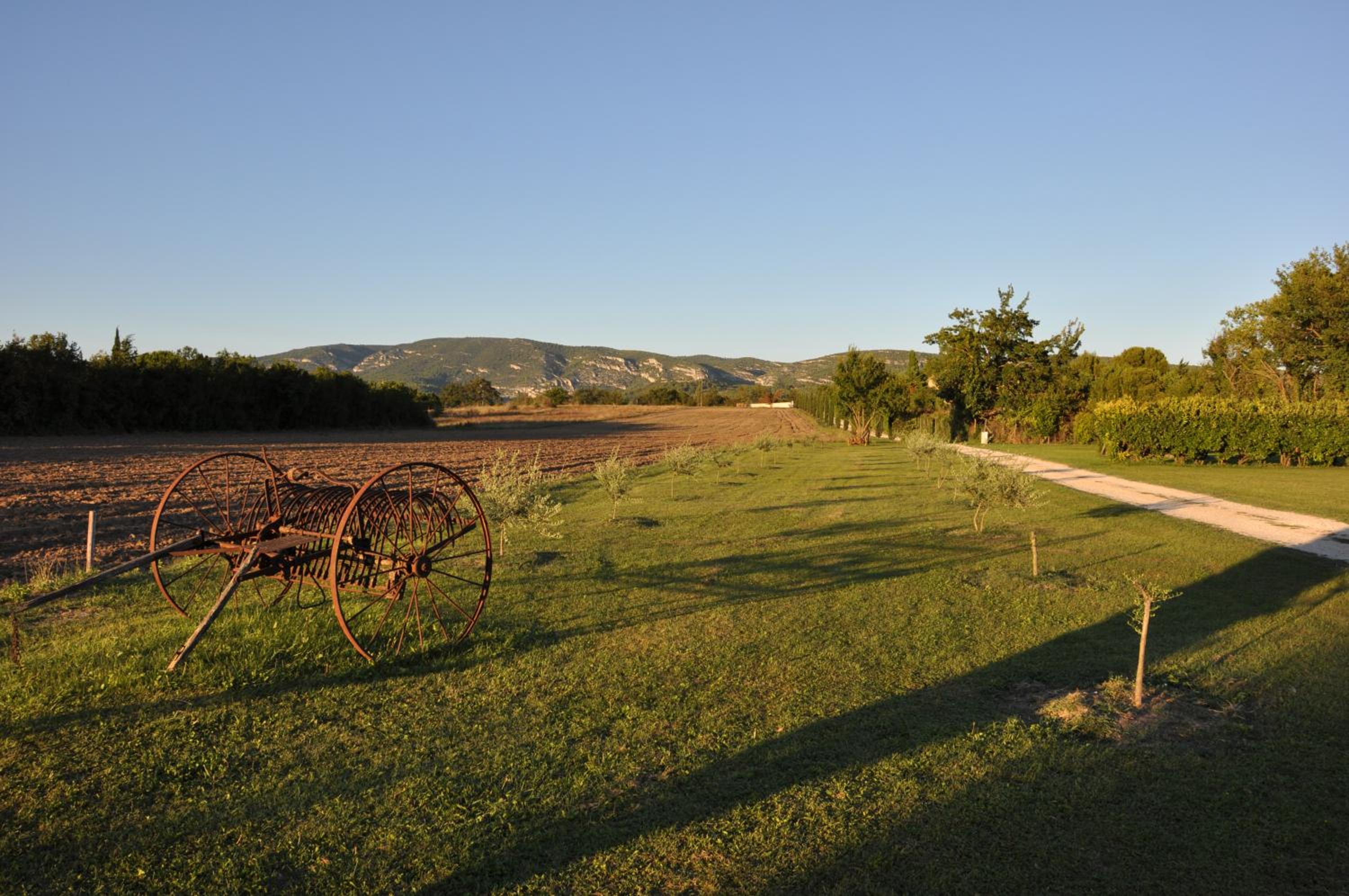 Photo 42