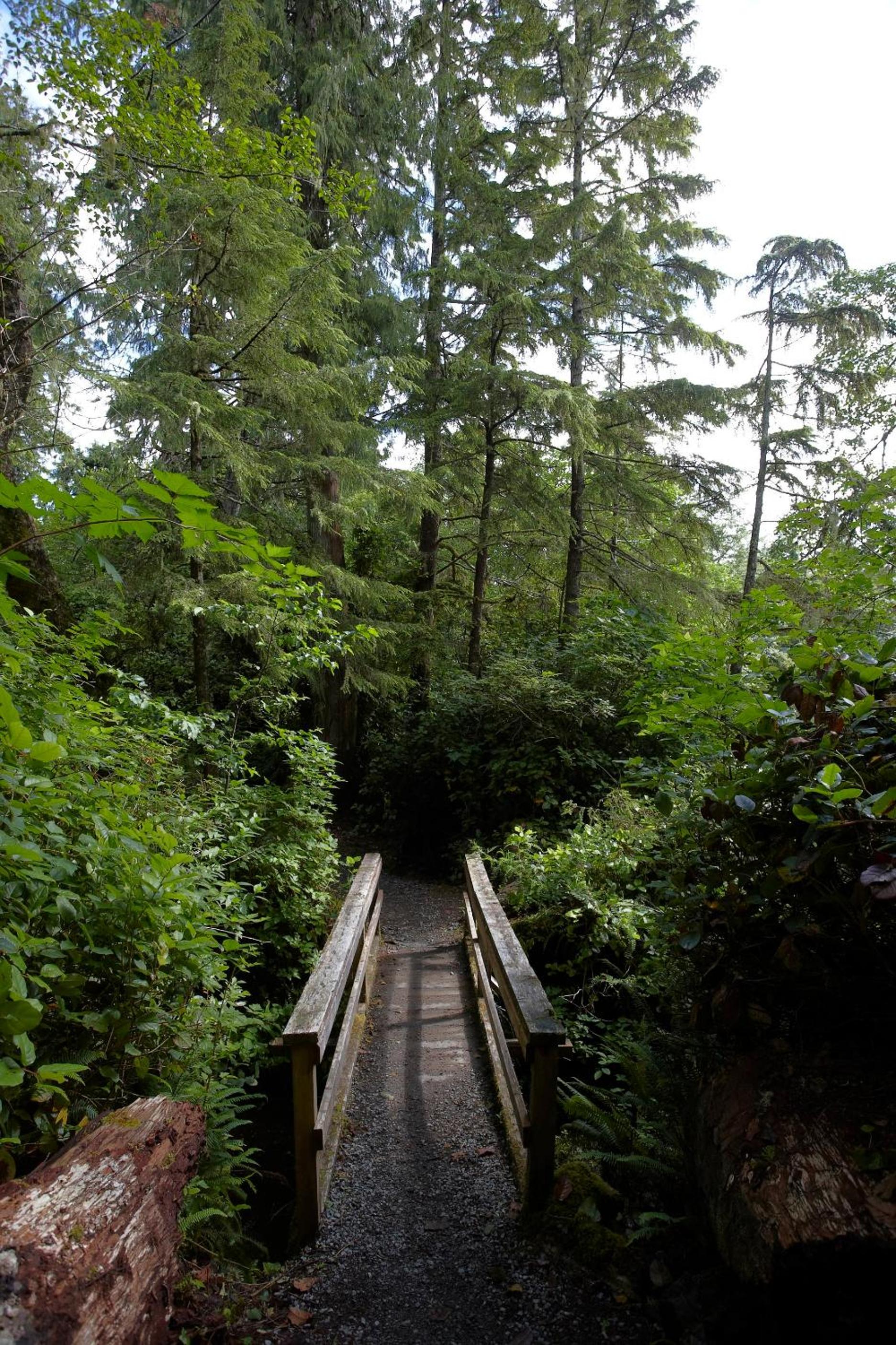 Tofino Vacations - Middle Beach Lodge - Property Image 29