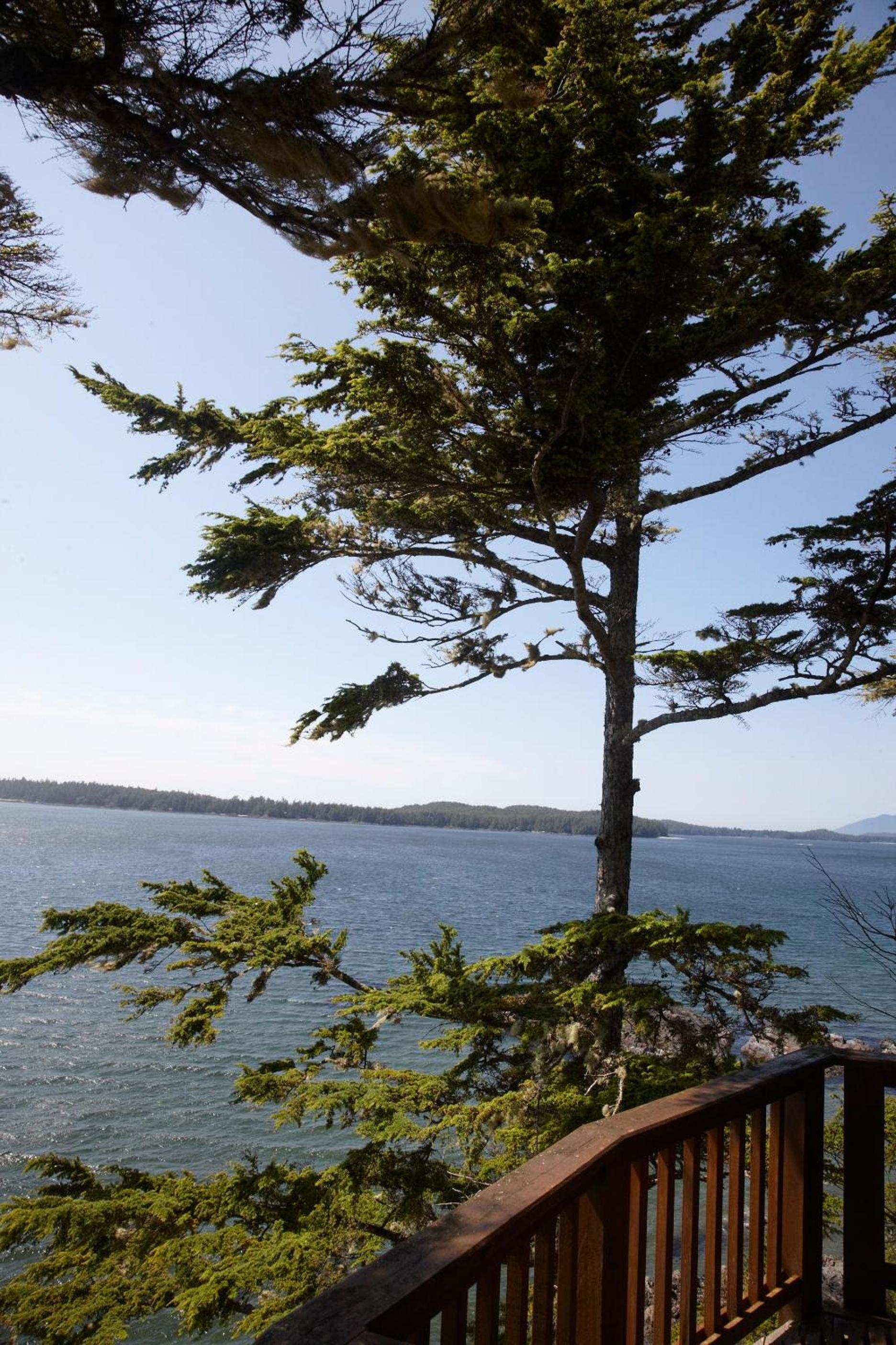 Tofino Vacations - Middle Beach Lodge - Property Image 30