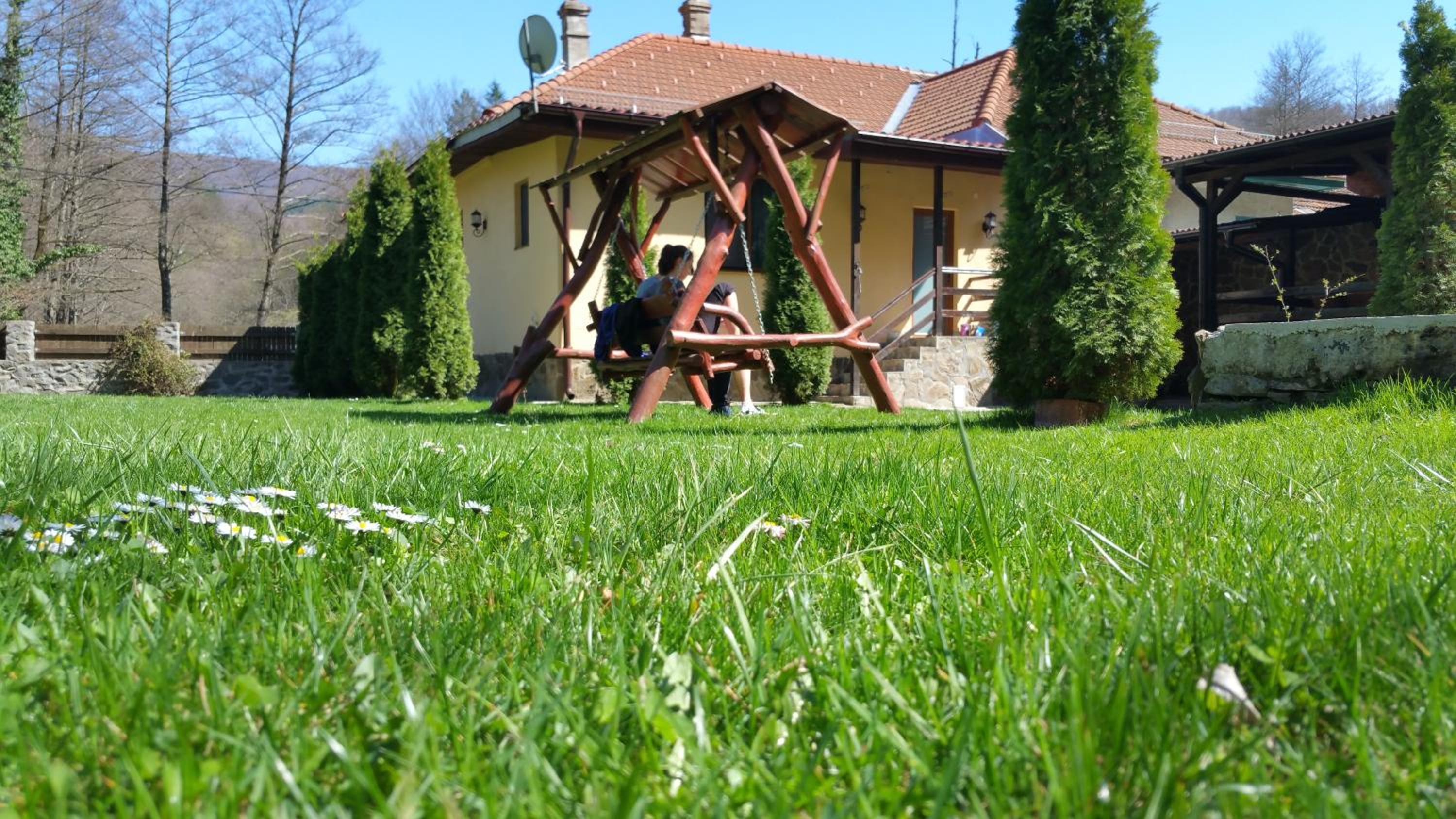 Photo 10