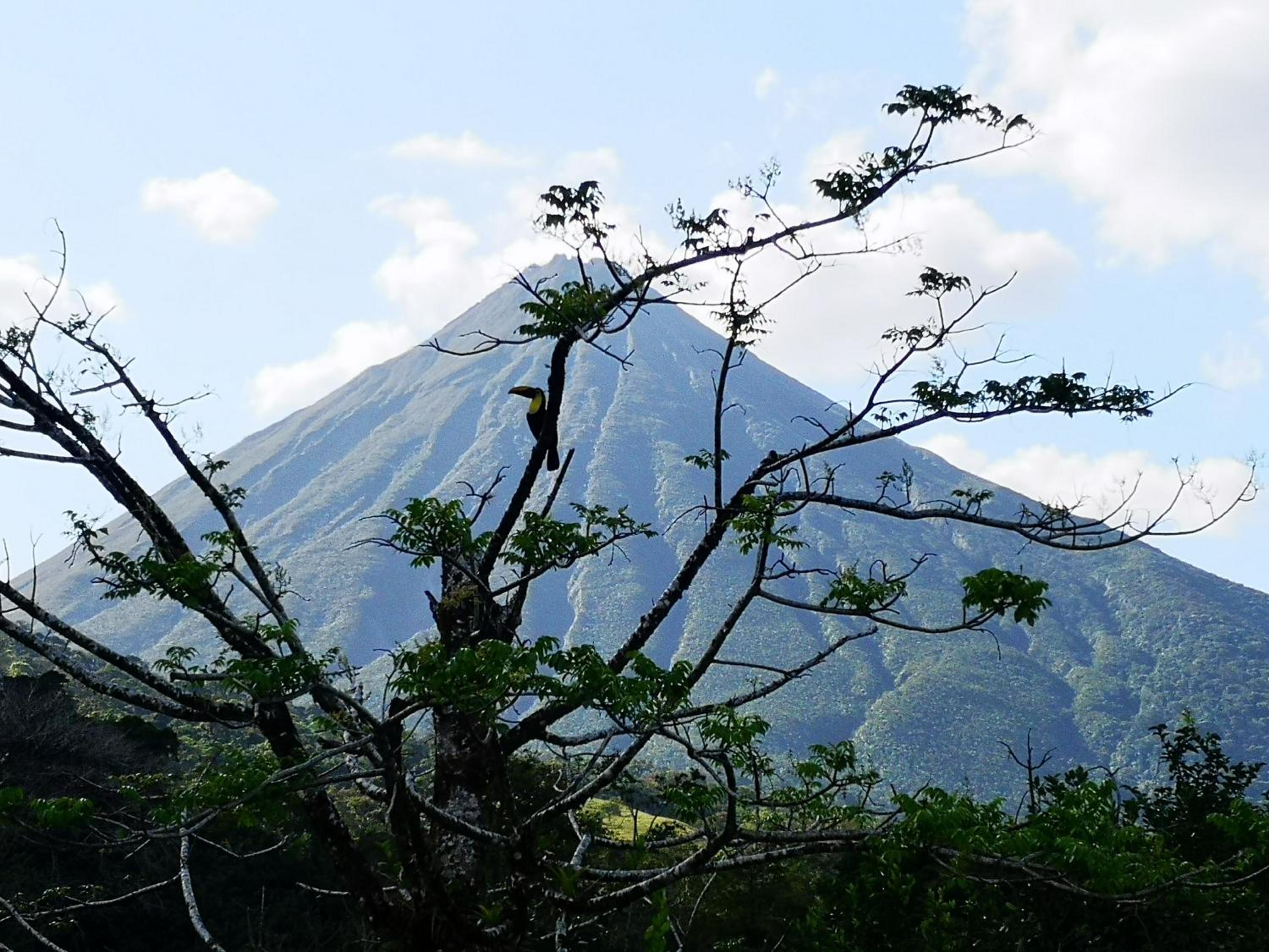 Tío Felix Eco Lodge