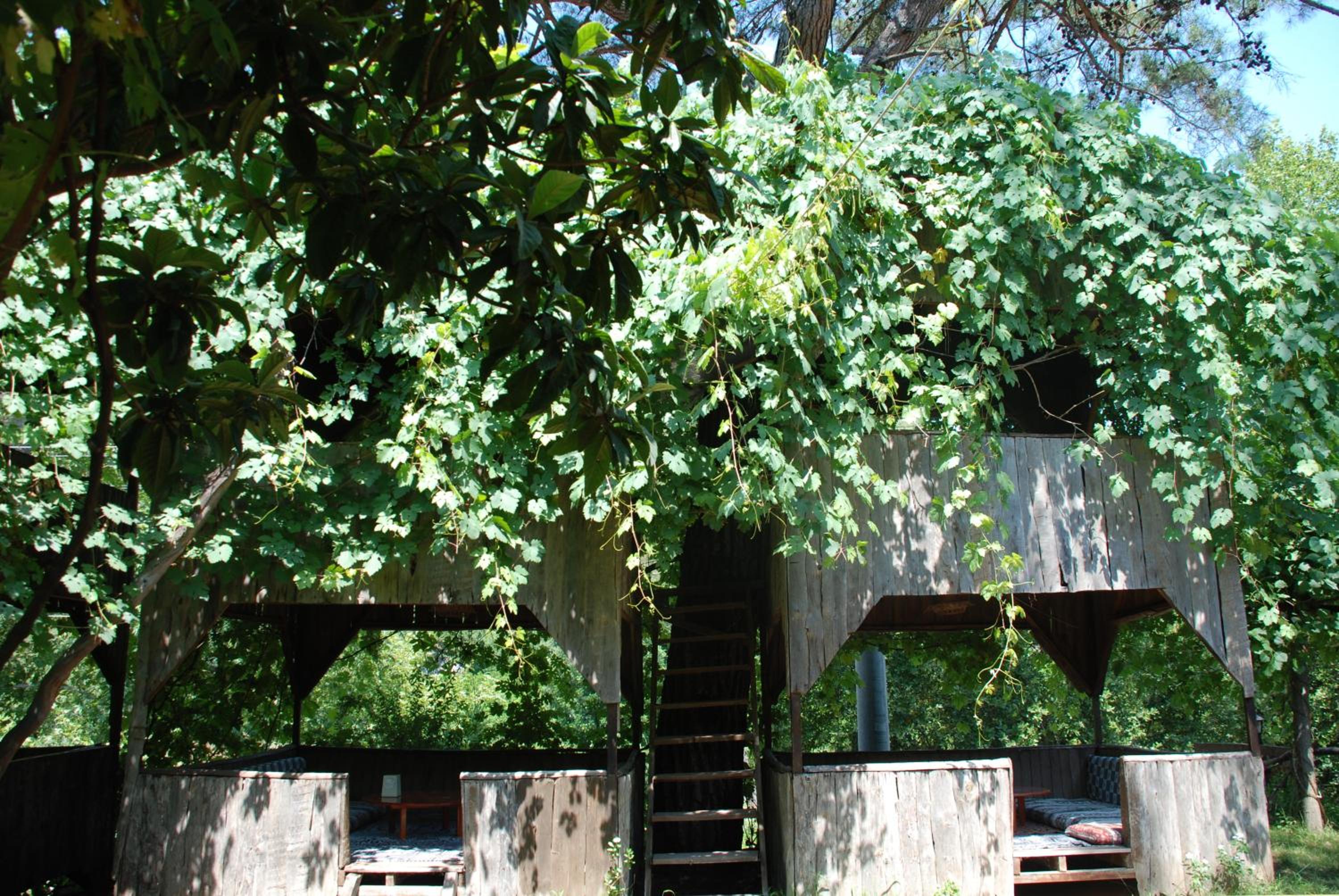 Photo 45