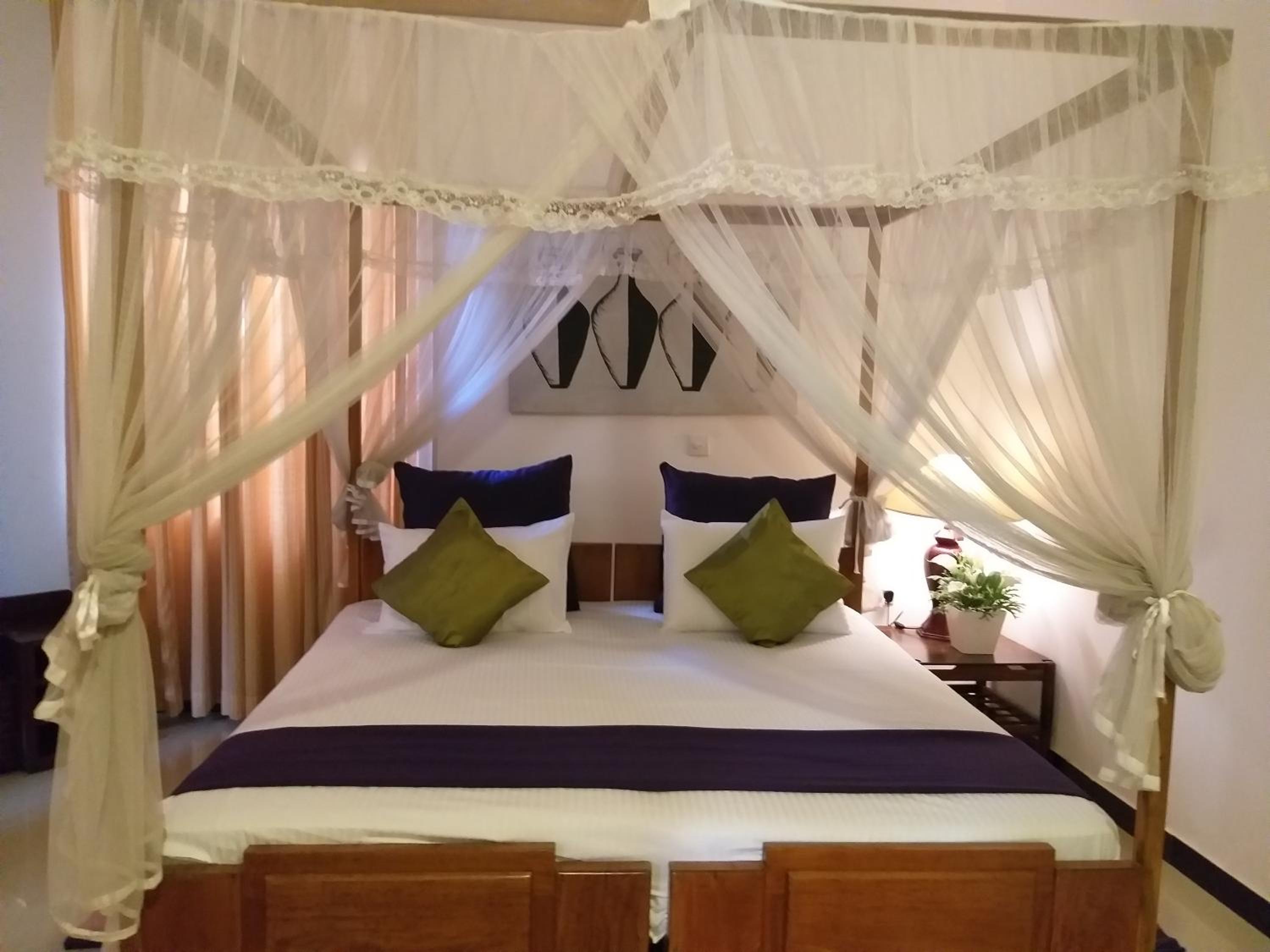 Cosy Nest Home stay
