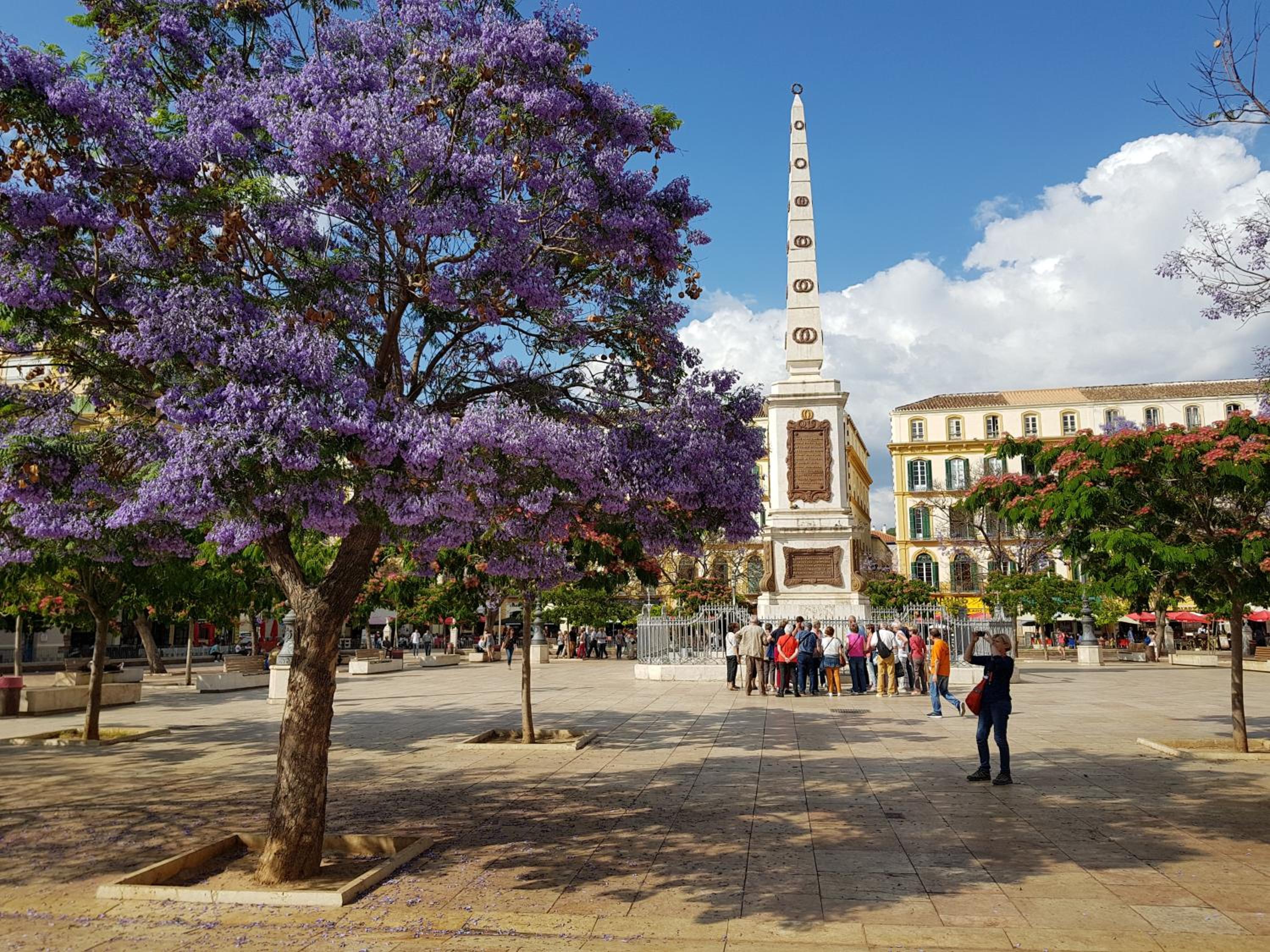 Malaga Paradise (Historic centre)
