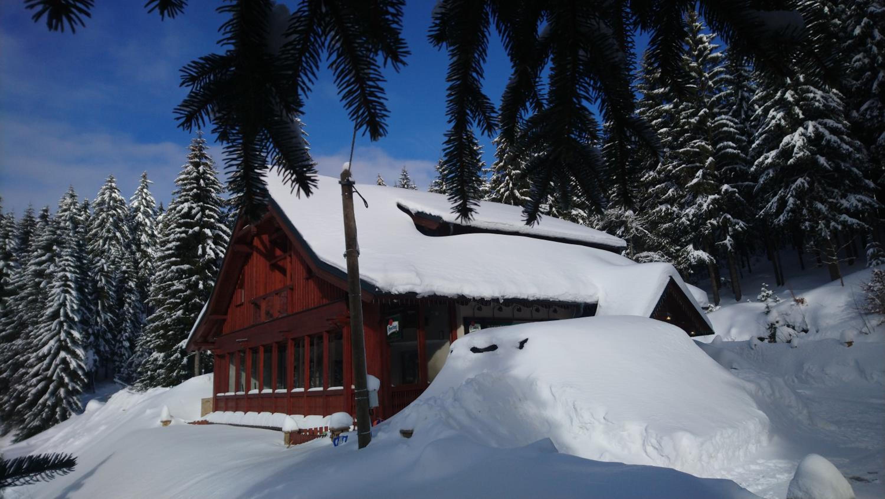 Jezírko lesní restaurant & penzion