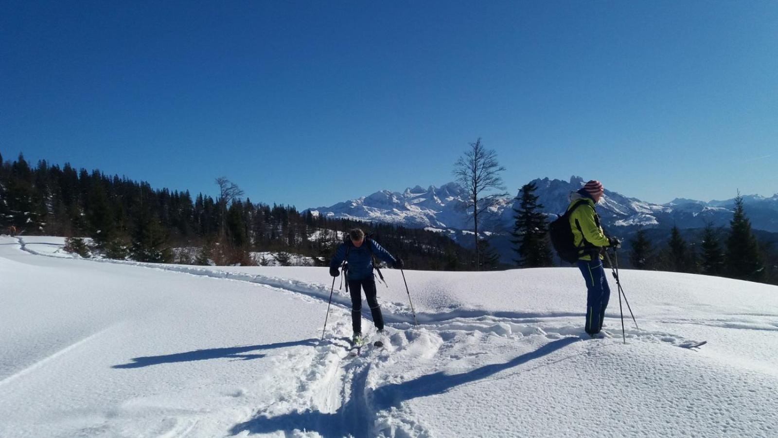 Ferienwohnungen Unterdürmoos Apartments mit Chalet-Charme auf 1050 m , Alleinlage