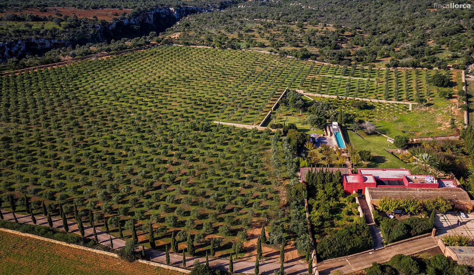 Finca Son Cifre Manacor by PriorityVillas view 5