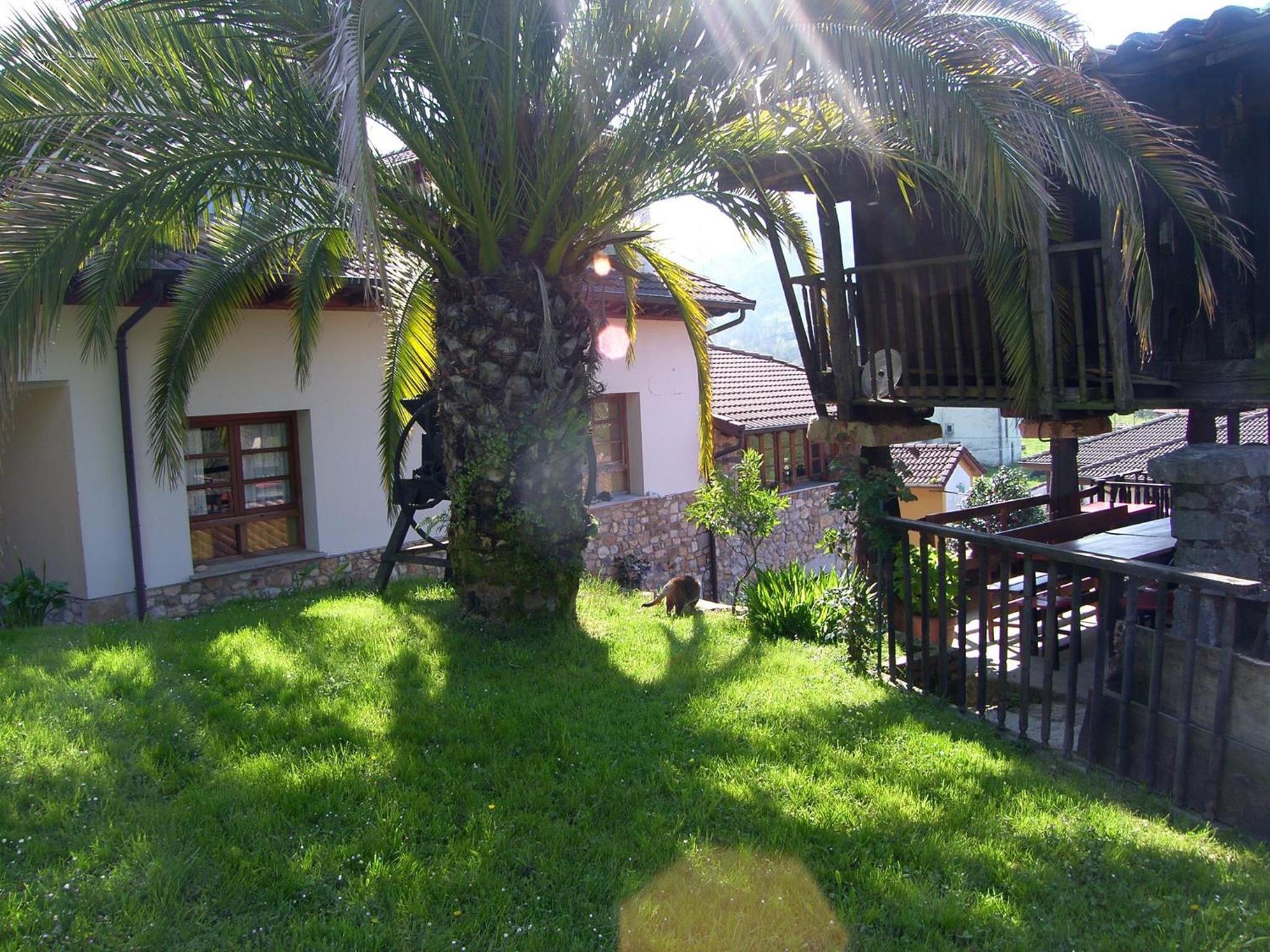 Photo 46